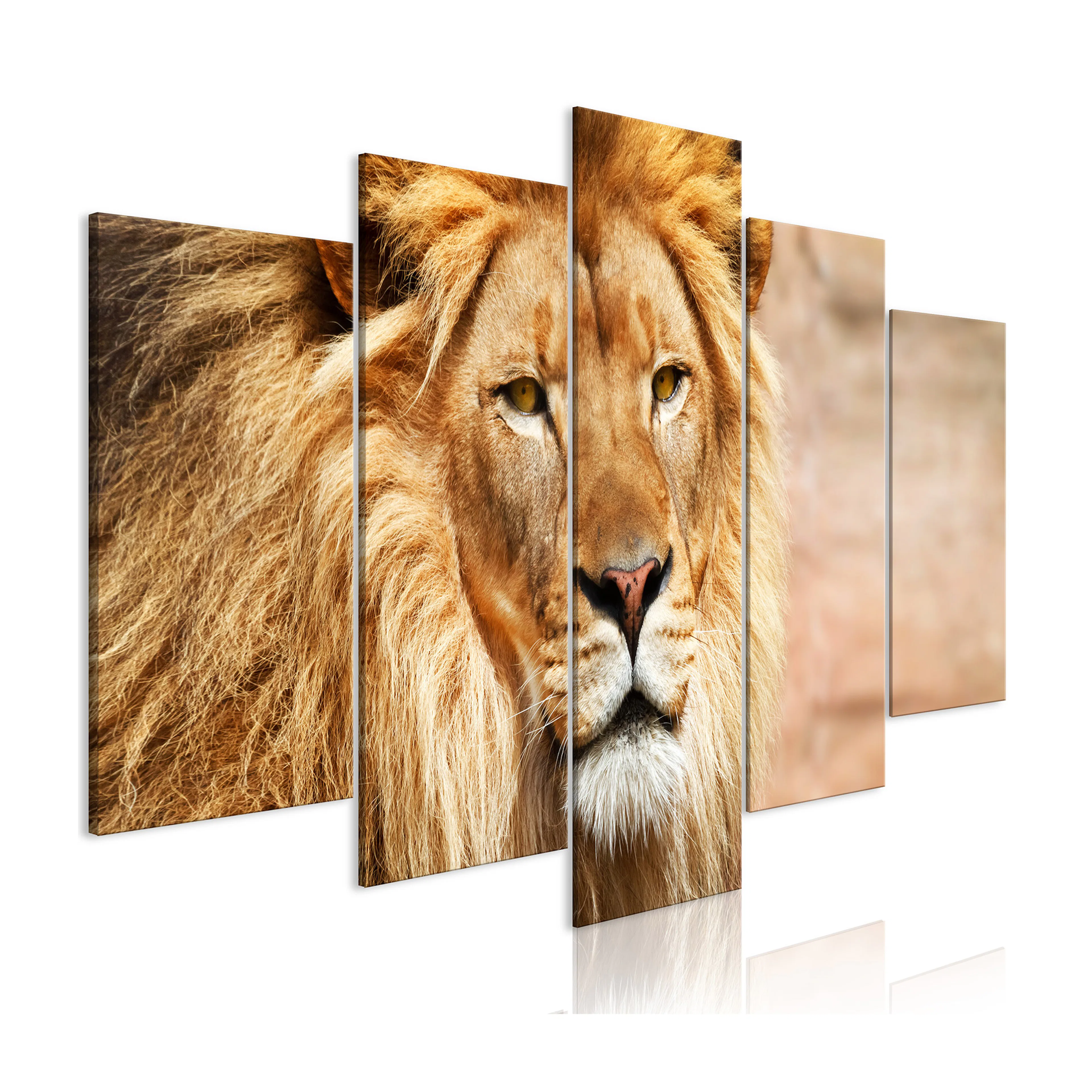 Tavla Arkiio The King Of Beasts Wide Orange 5 delar