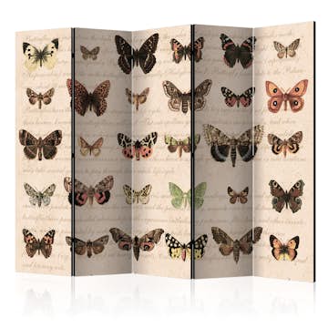 Rumsavdelare Arkiio Retro Style: Butterflies II 225x172 cm