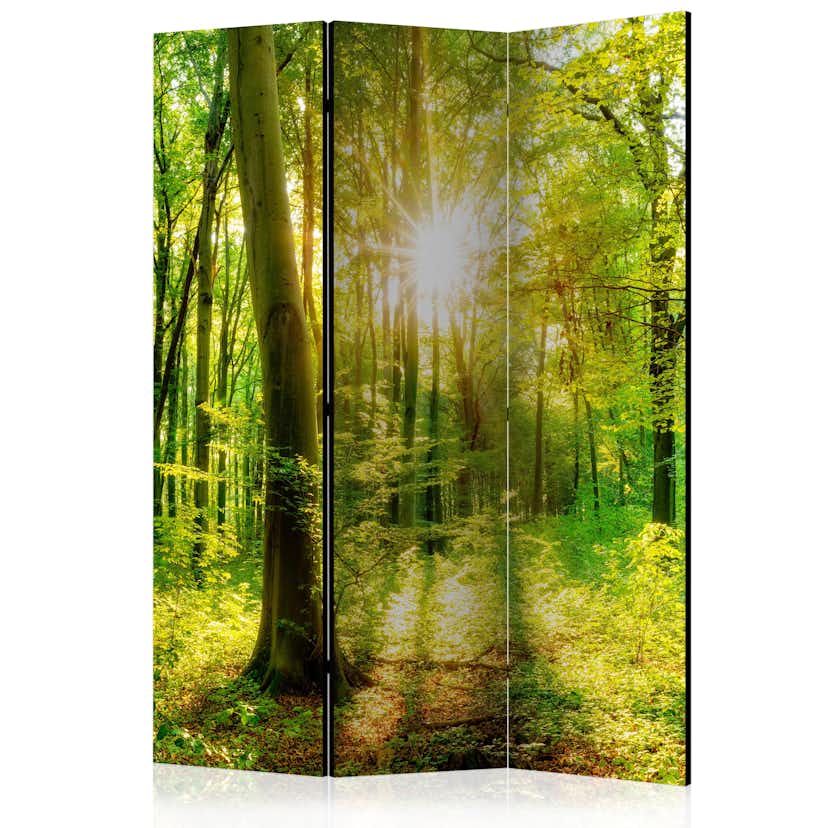 Rumsavdelare Arkiio Forest Rays 135x172 cm