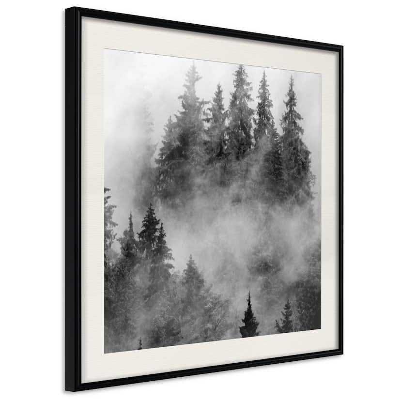Poster Artgeist Affisch Black Forest