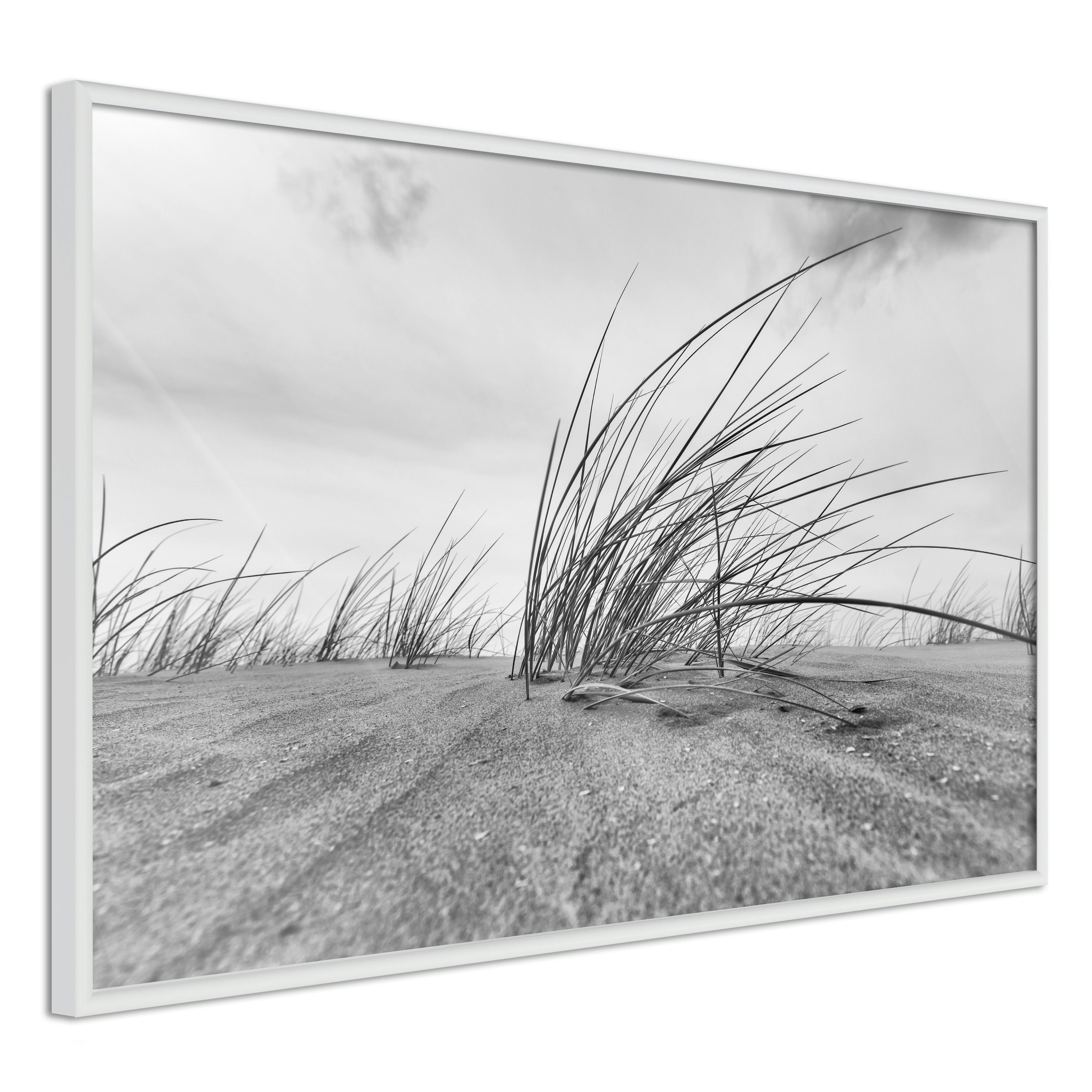 Poster Artgeist Affisch Seaside Reed