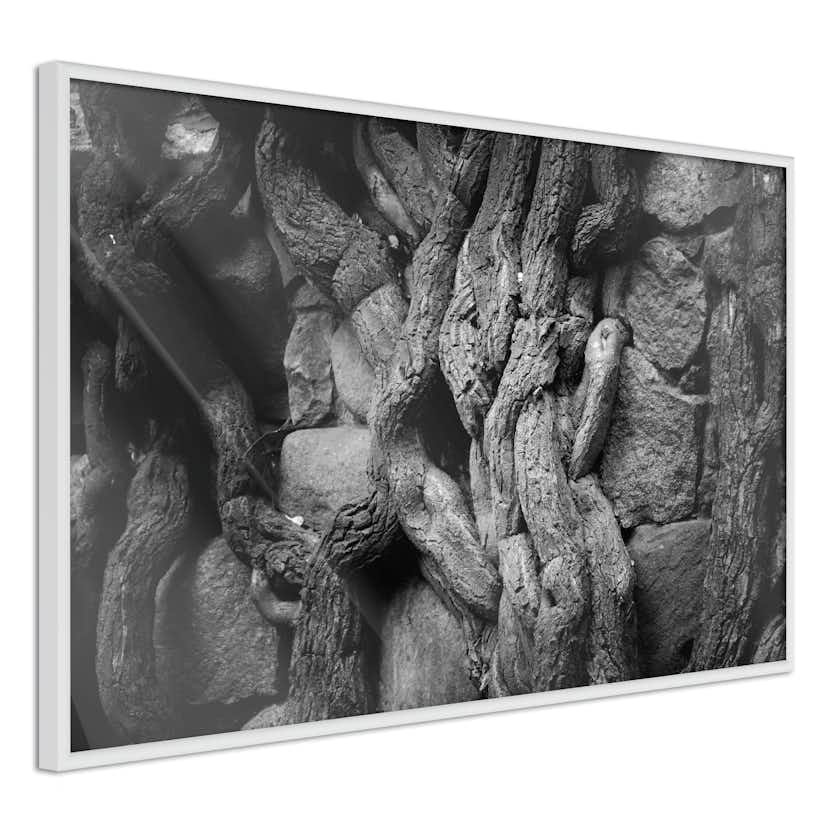 Poster Artgeist Affisch Overgrown Stones