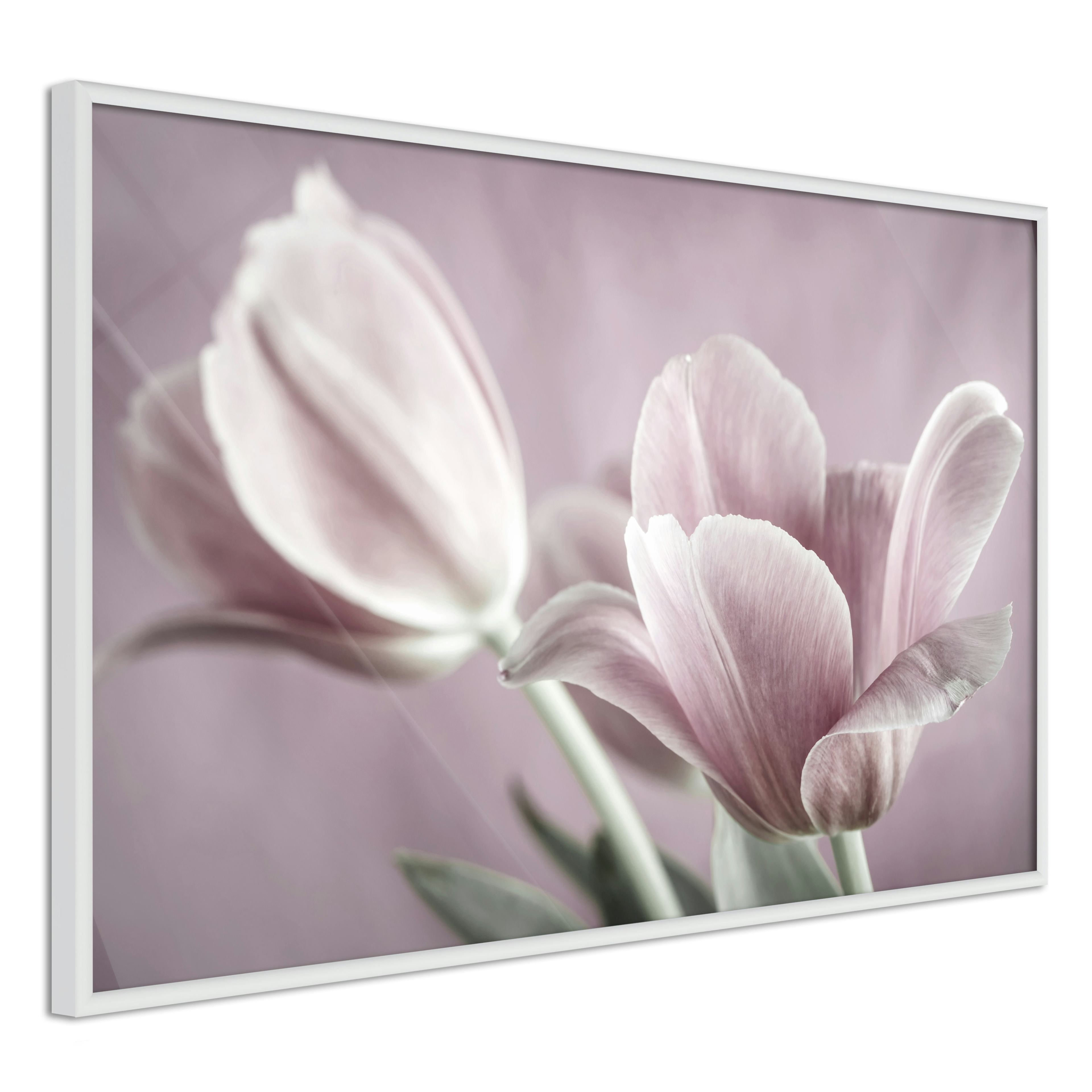 Poster Artgeist Affisch Pink Tulips