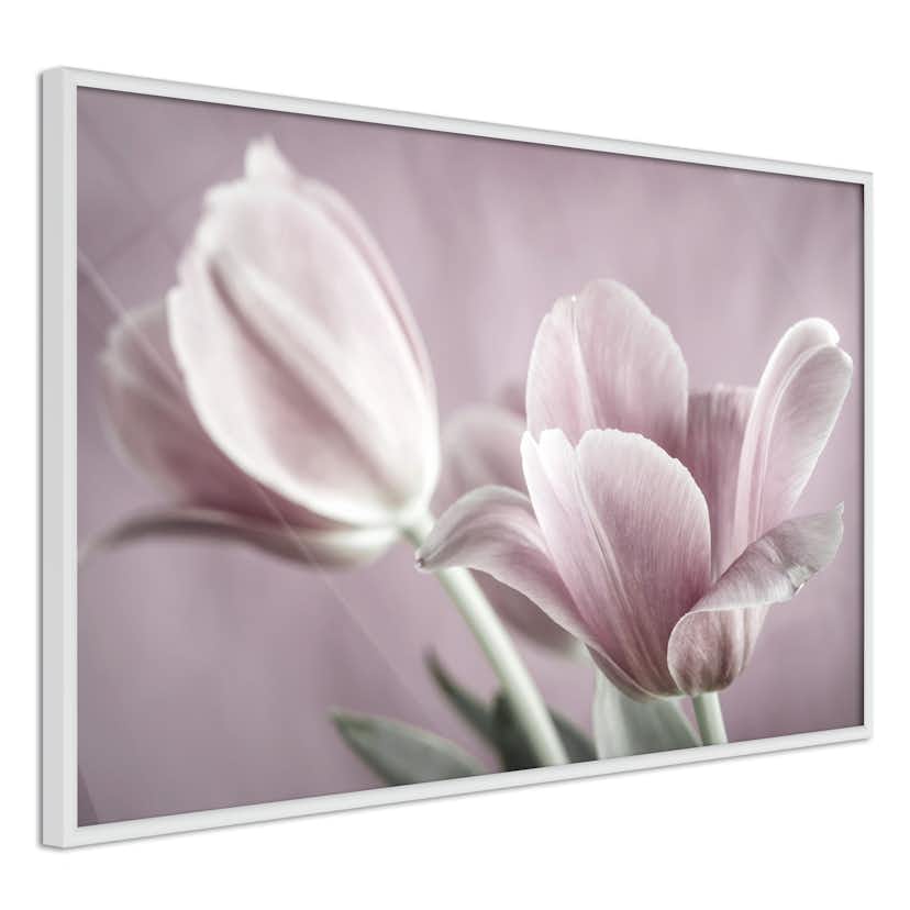 Poster Artgeist Affisch Pink Tulips