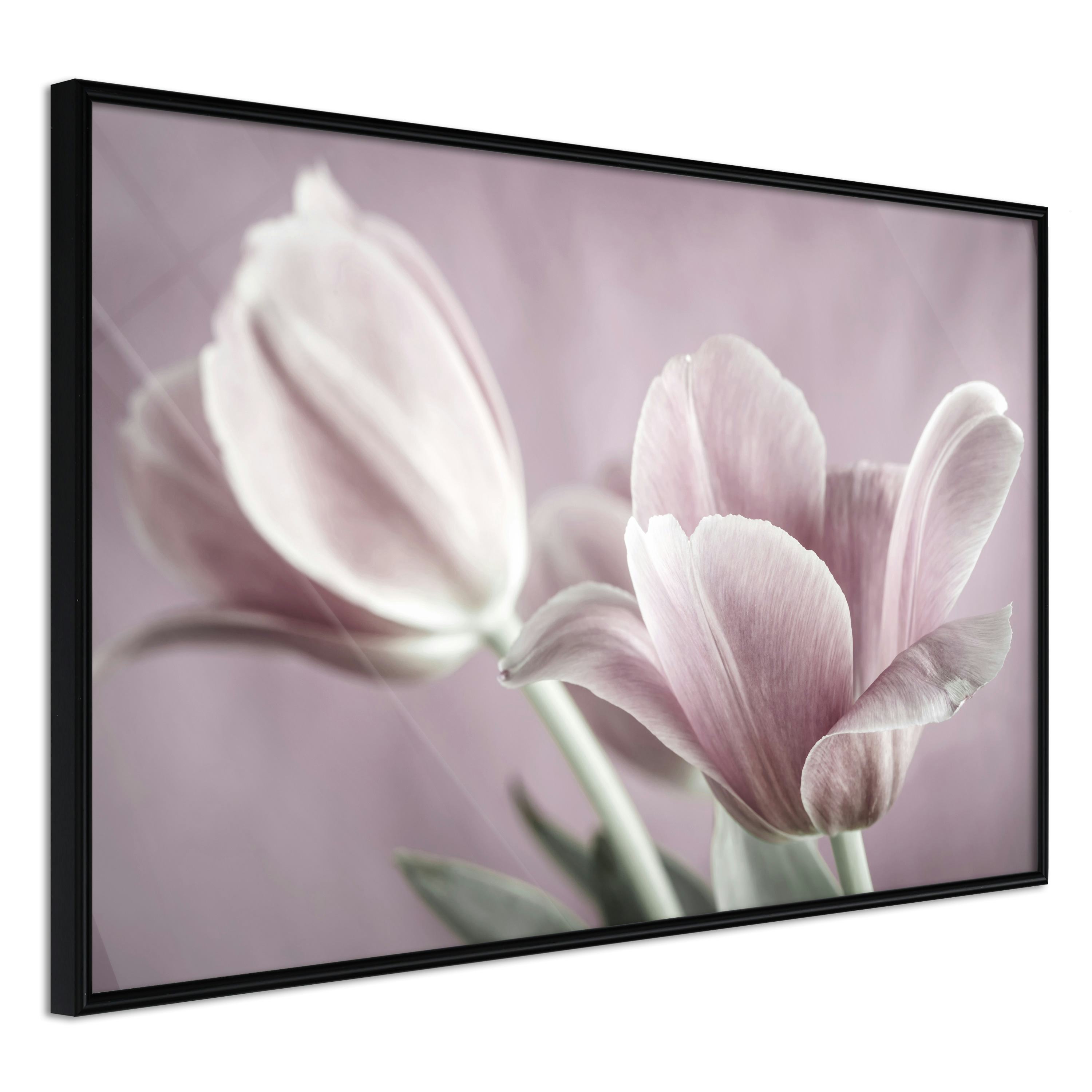 Poster Artgeist Affisch Pink Tulips