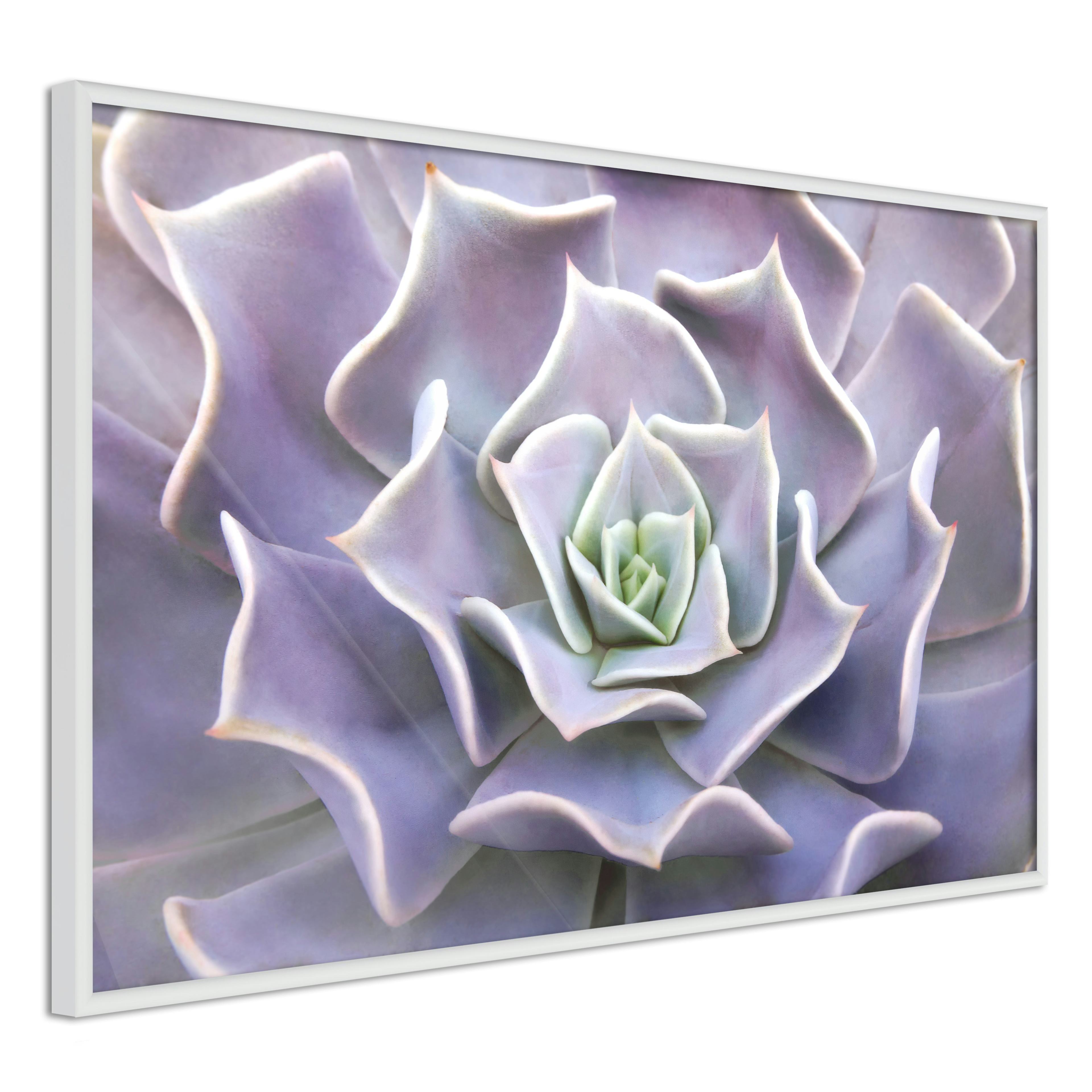 Poster Artgeist Affisch Purple Succulent