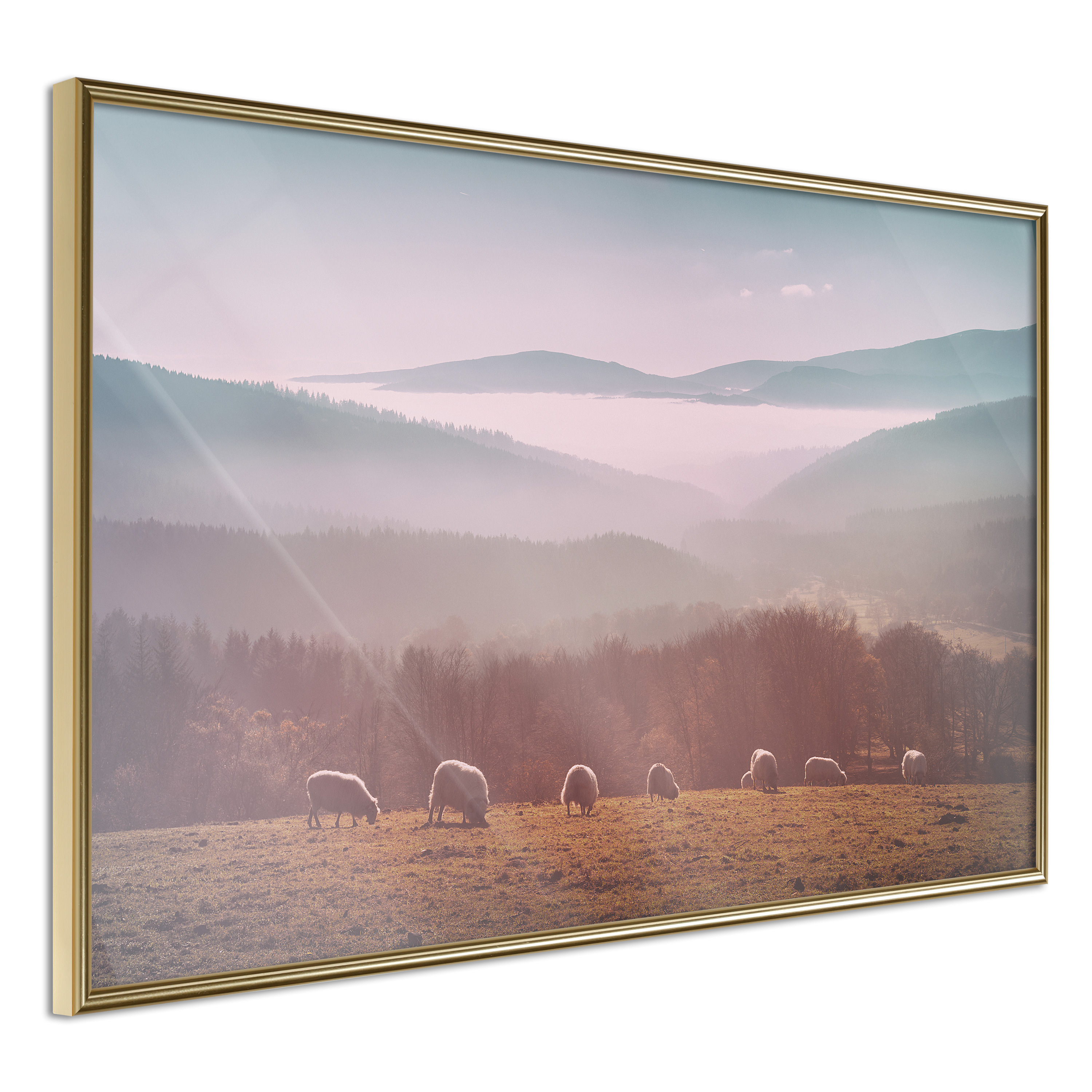 Poster Artgeist Affisch Flock of Sheep