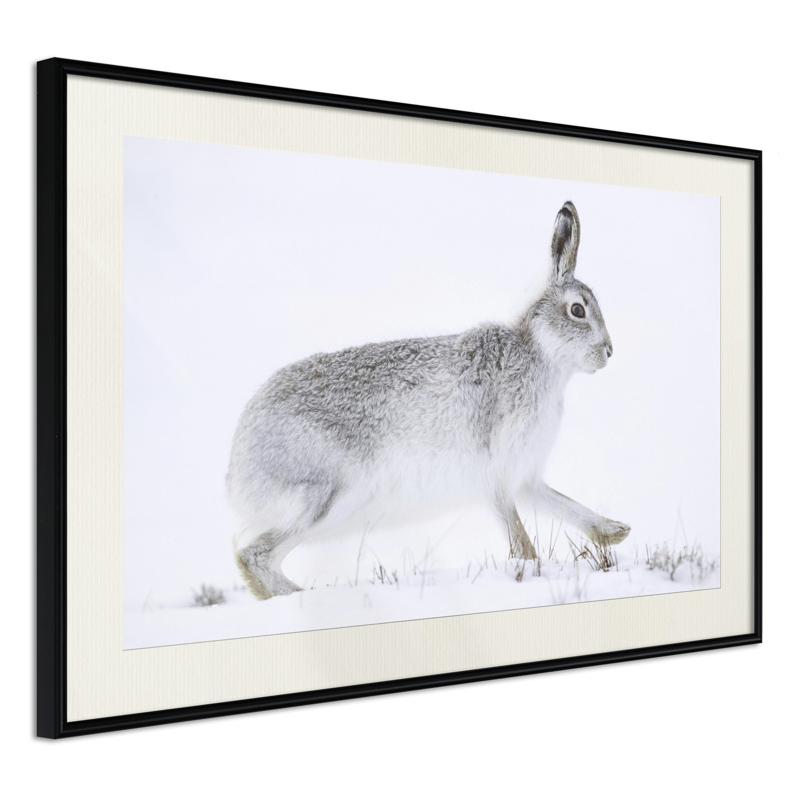 Poster Artgeist Affisch Rabbit