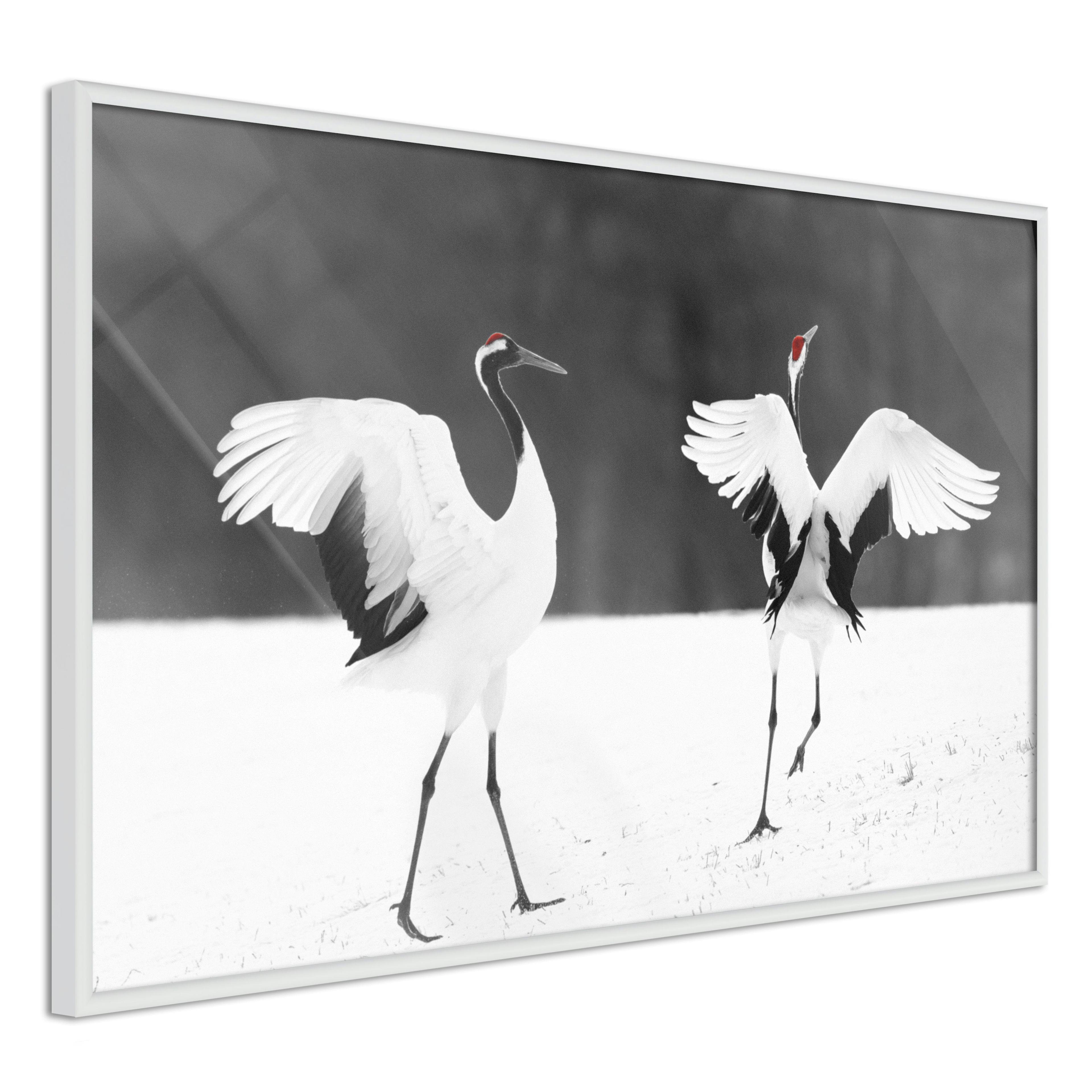 Poster Artgeist Affisch Dancing Cranes
