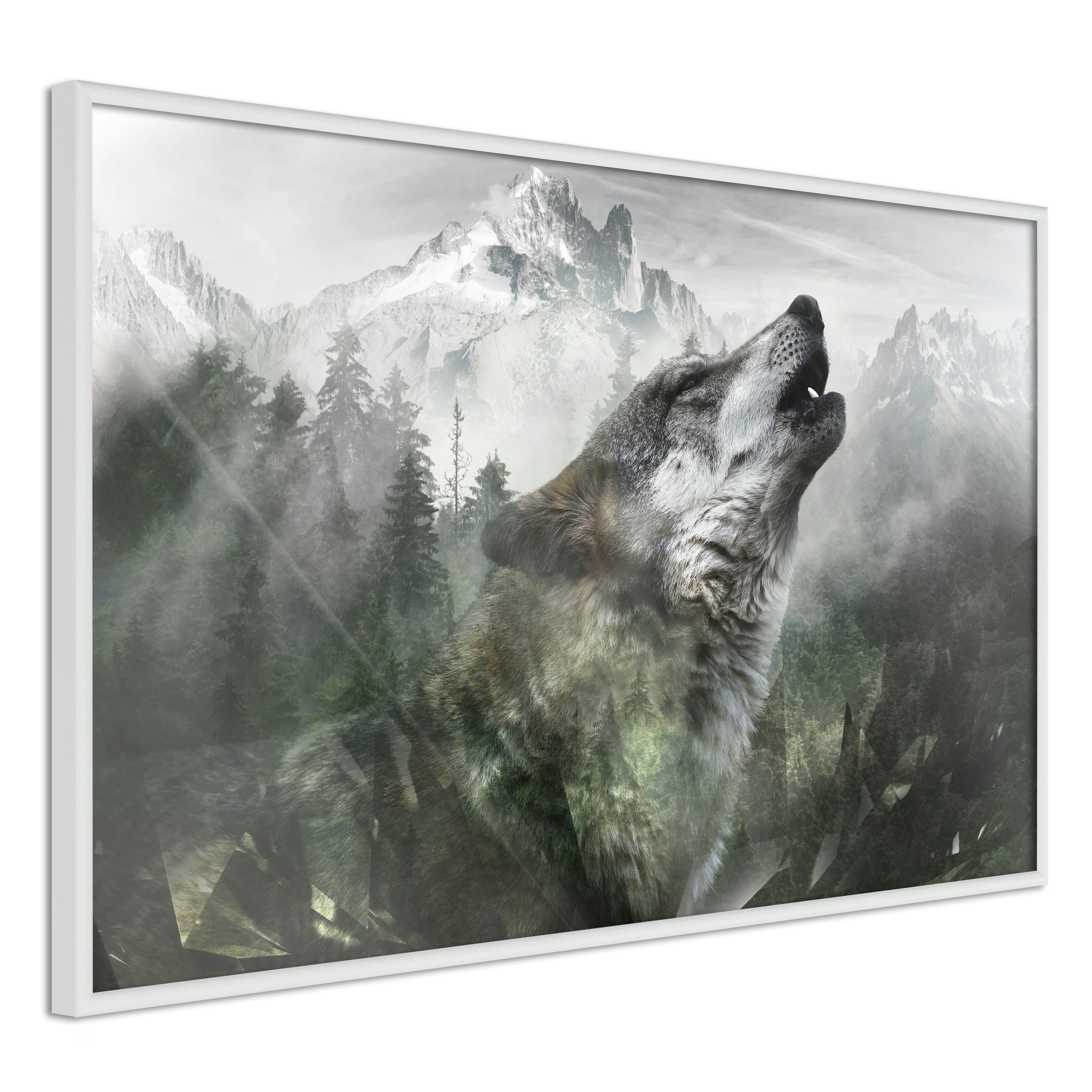 Poster Artgeist Affisch Howling Wolf