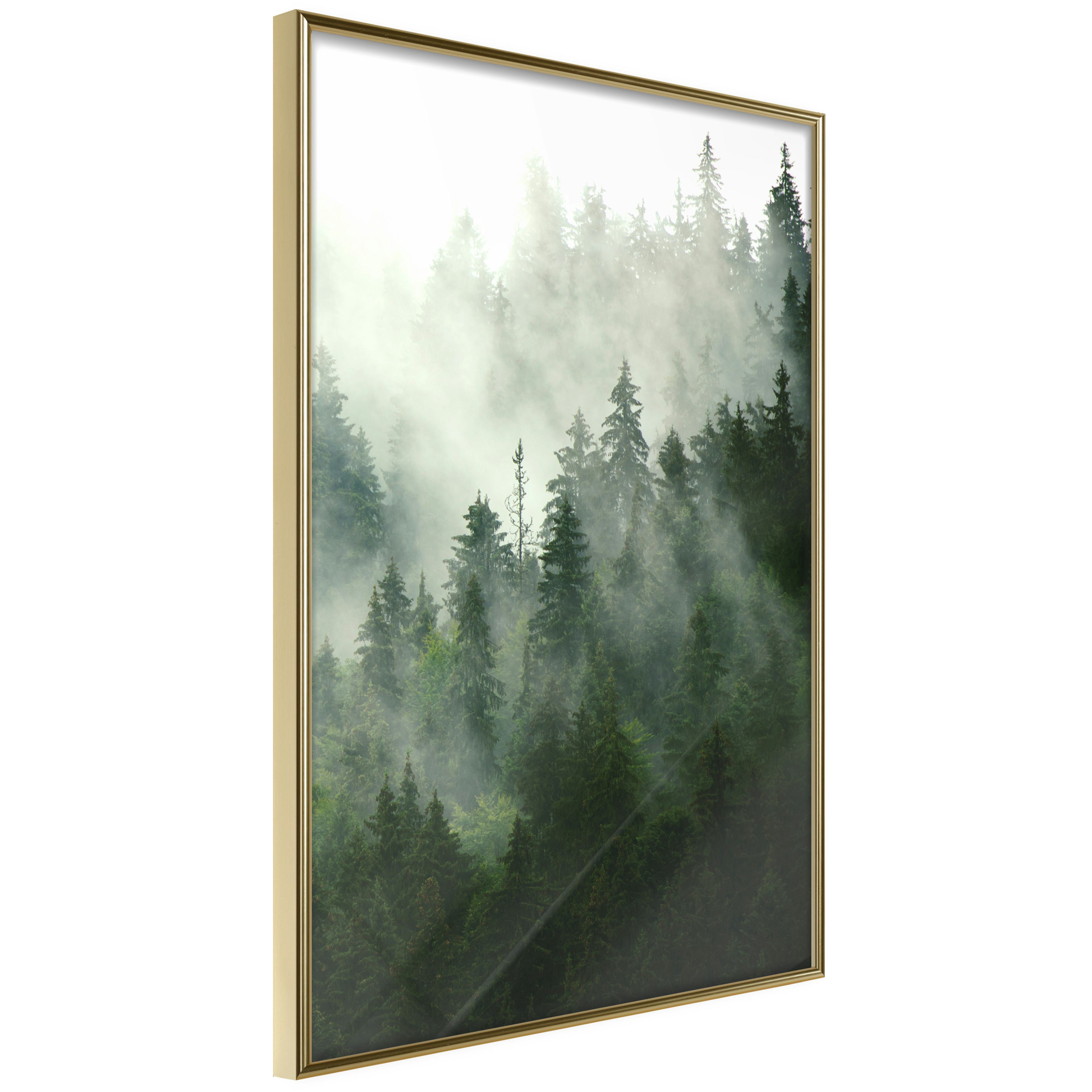 Poster Artgeist Affisch Coniferous Forest