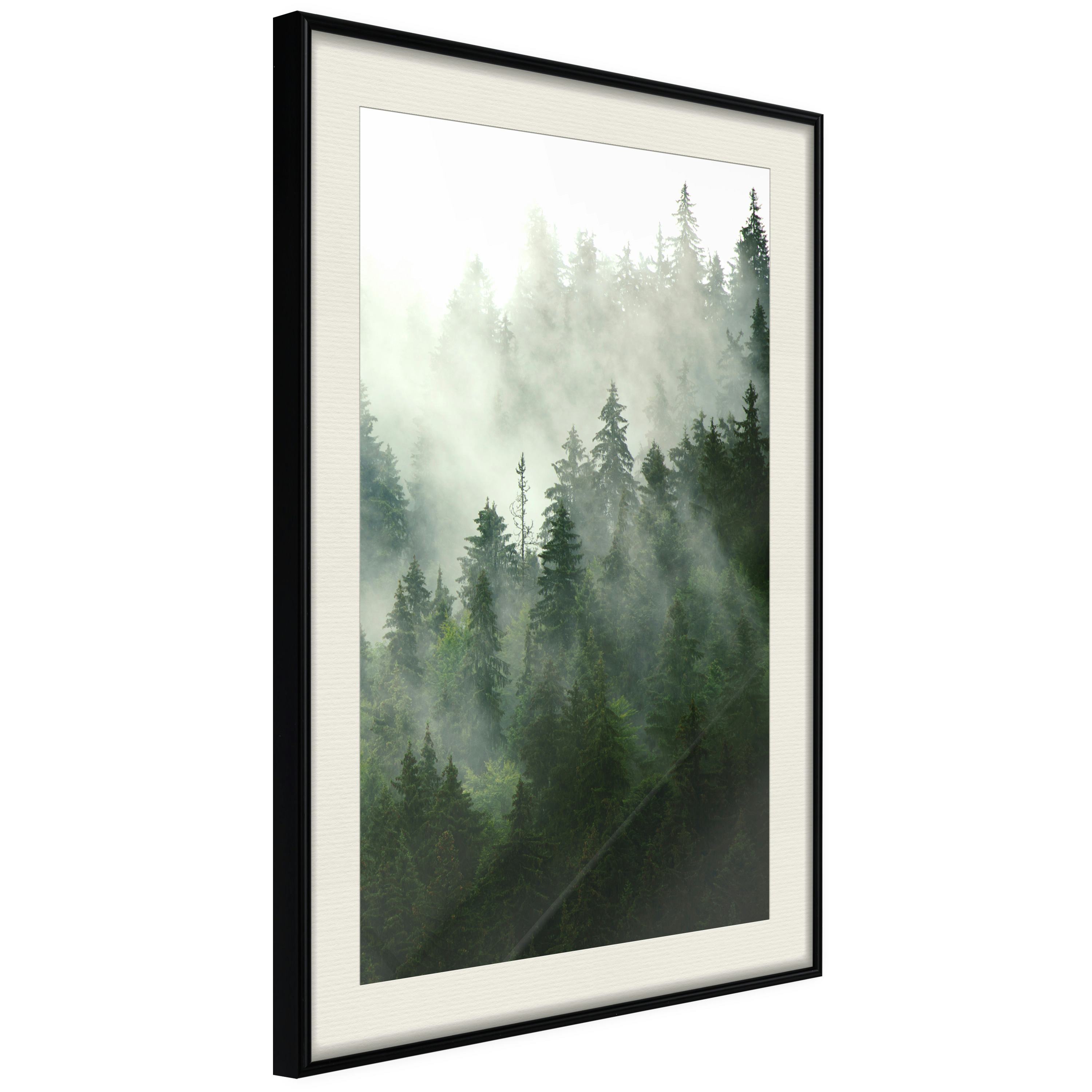 Poster Artgeist Affisch Coniferous Forest