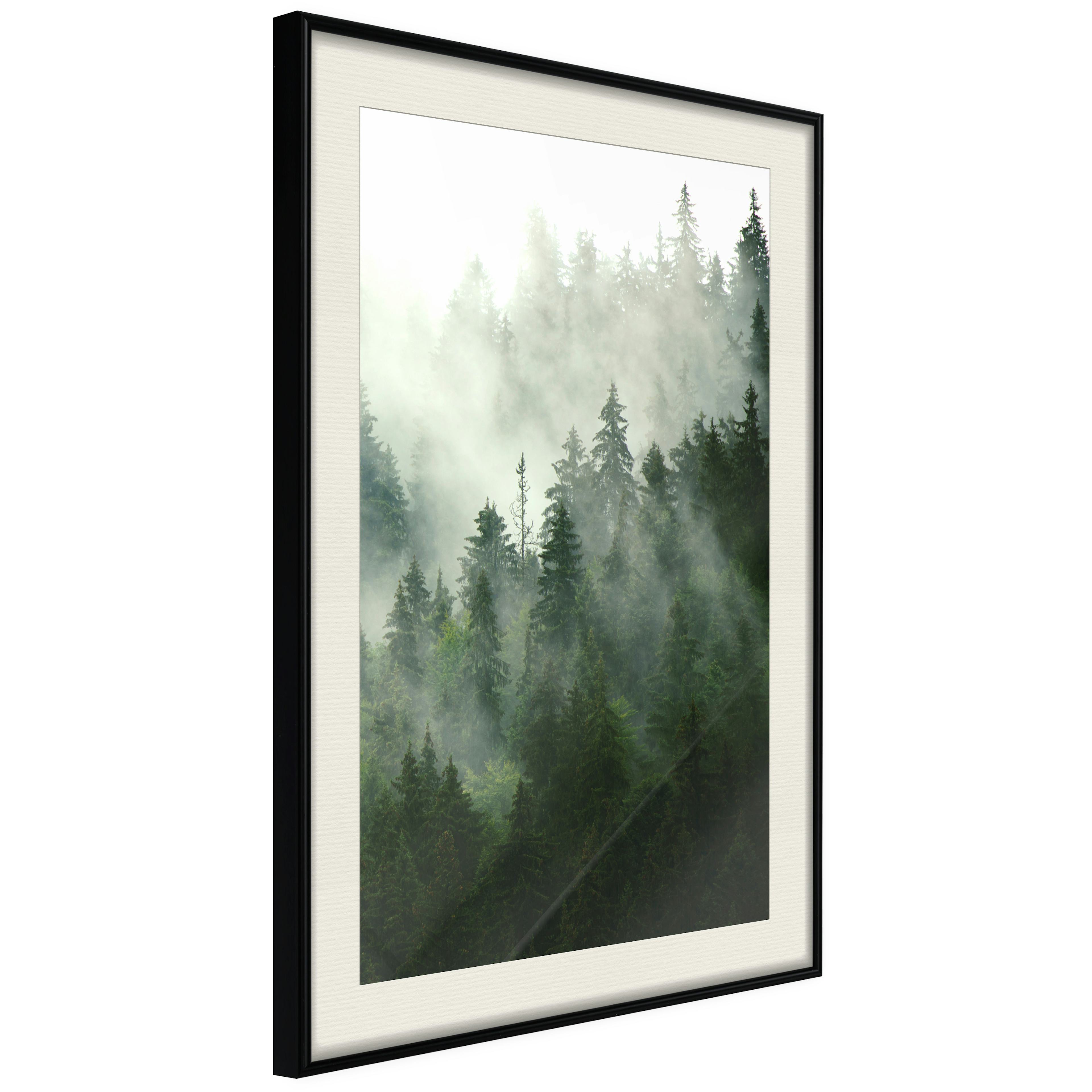 Poster Artgeist Affisch Coniferous Forest