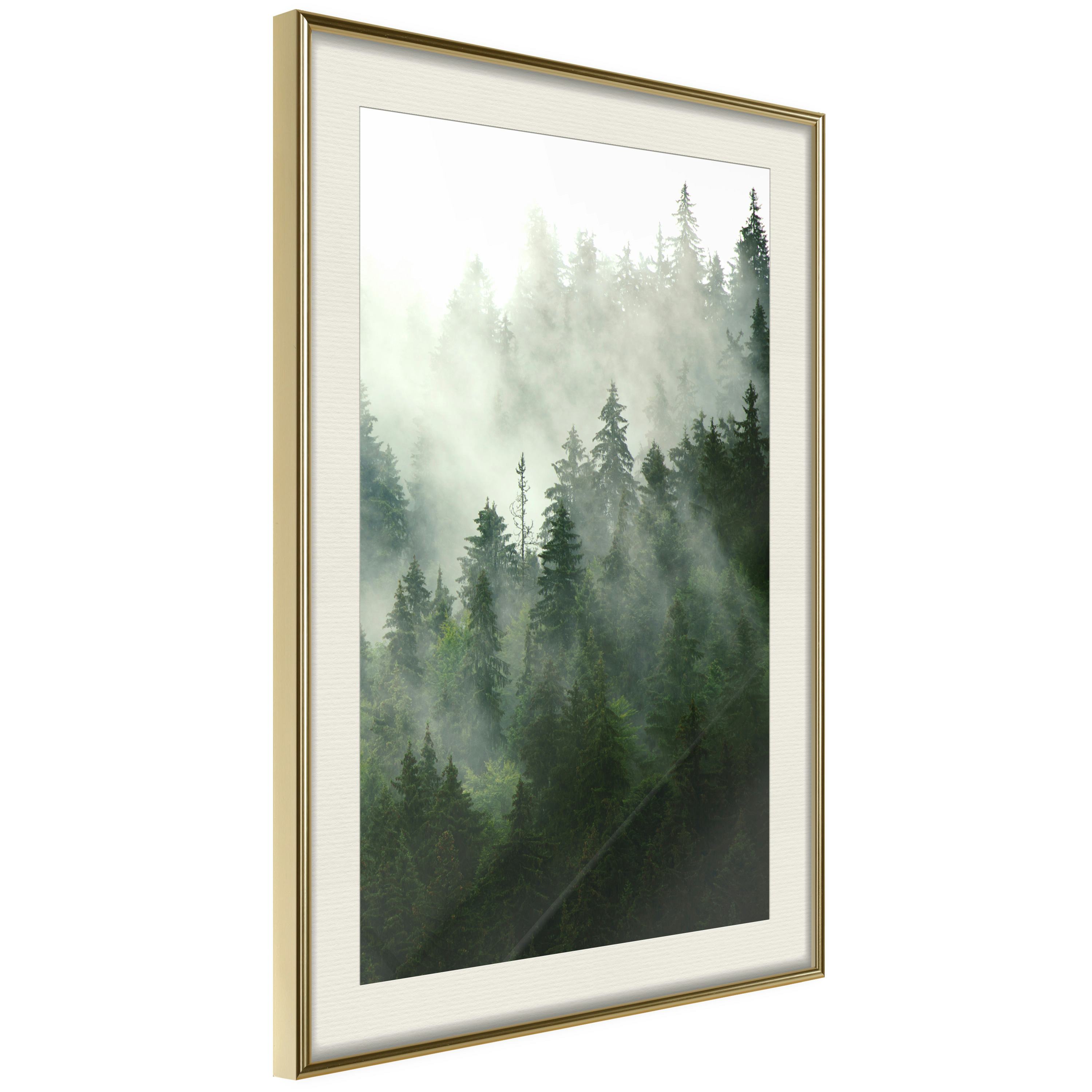 Poster Artgeist Affisch Coniferous Forest