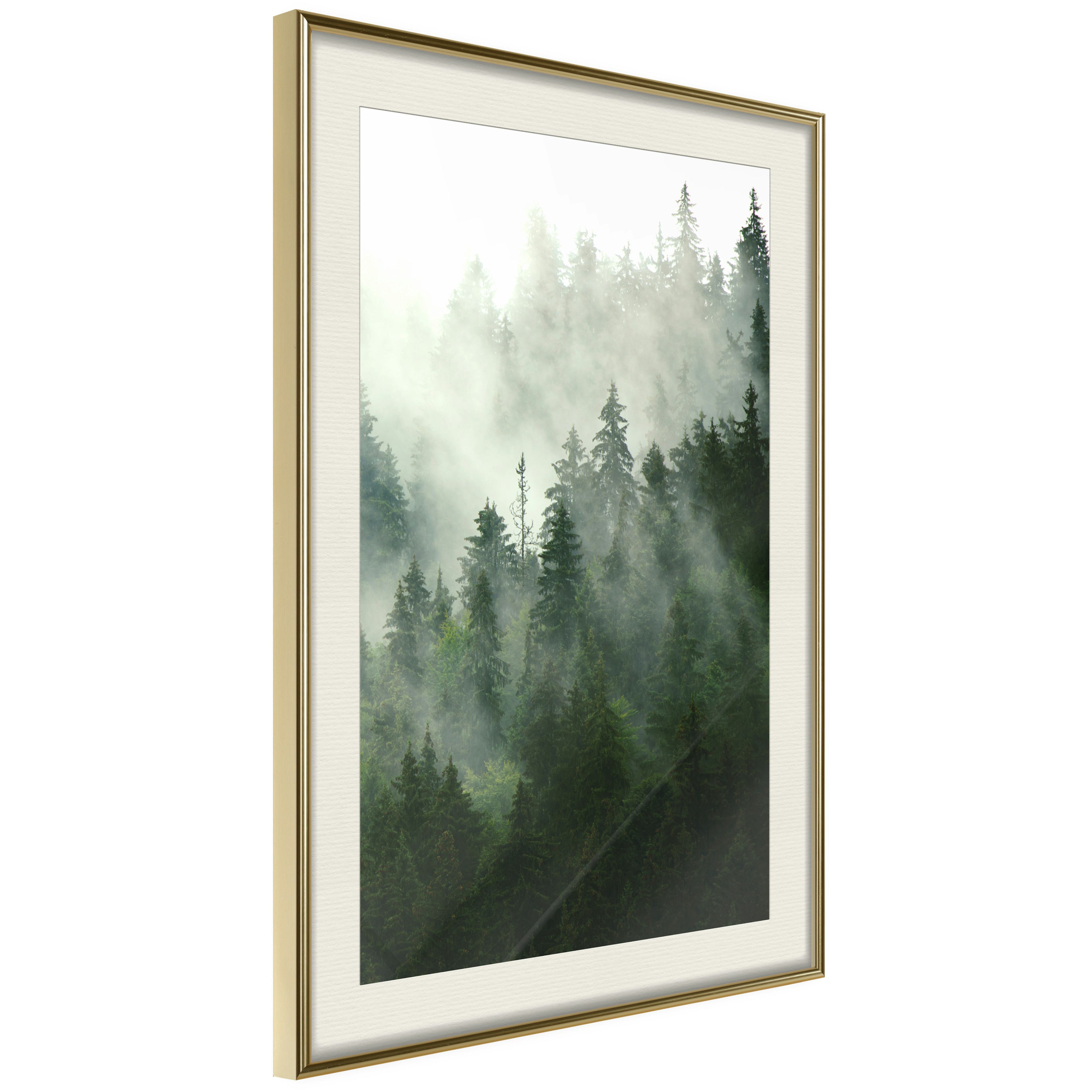 Poster Artgeist Affisch Coniferous Forest
