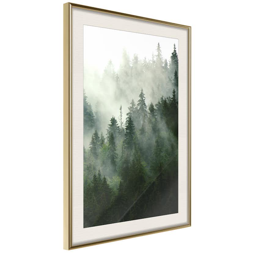 Poster Artgeist Affisch Coniferous Forest