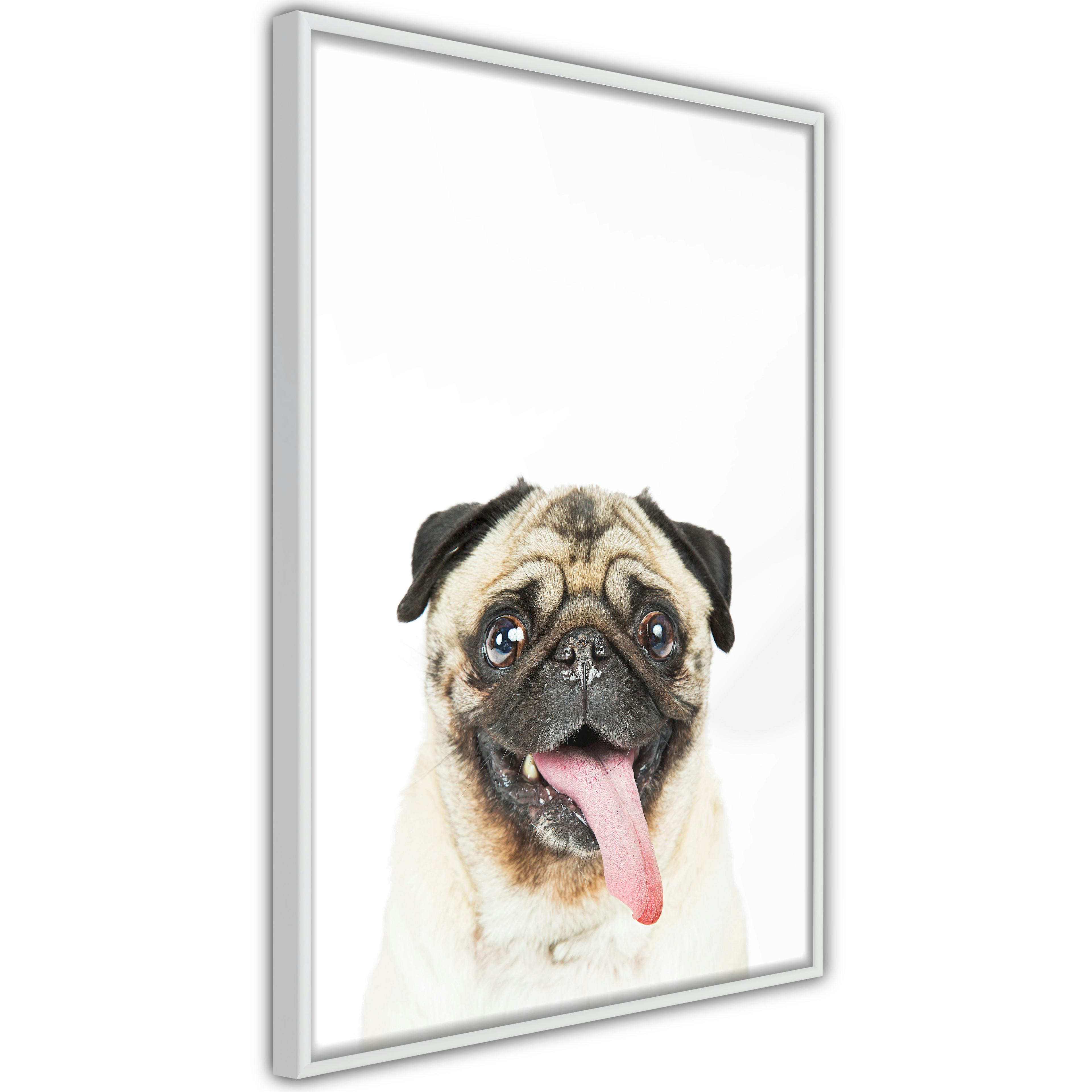Poster Artgeist Affisch Pug