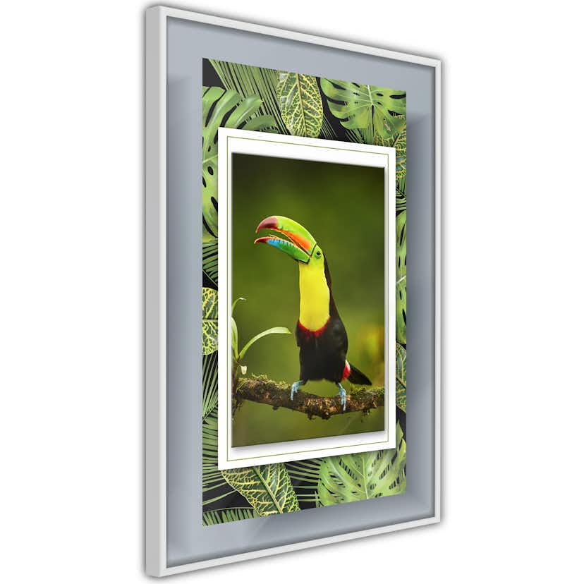 Poster Artgeist Affisch Toucan