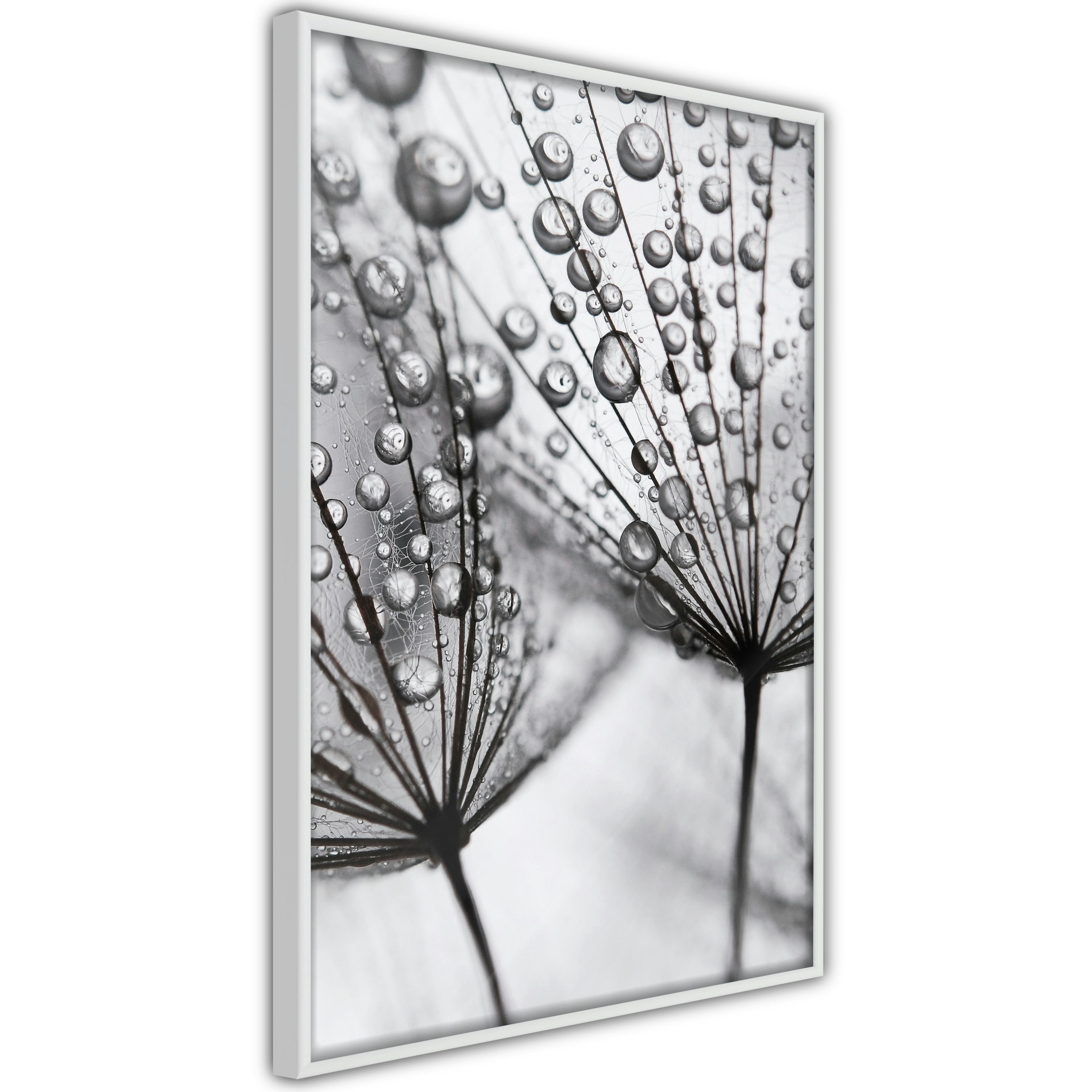 Poster Artgeist Affisch Morning Dew