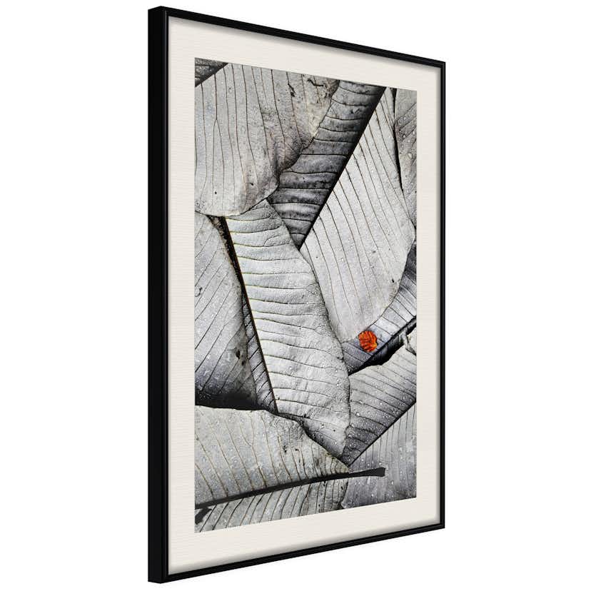 Poster Artgeist Affisch Black And White Leaves