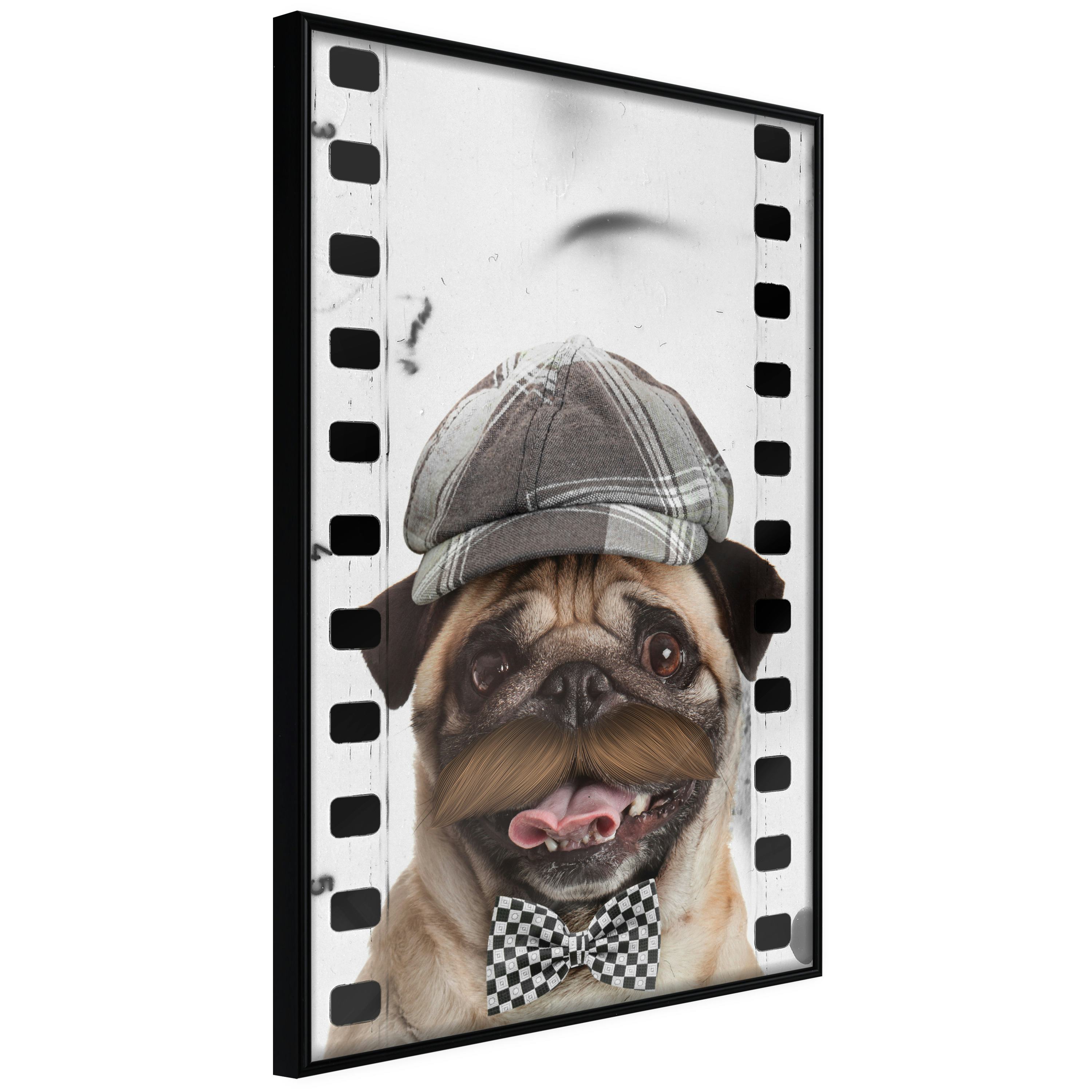 Poster Artgeist Affisch Pug In Hat