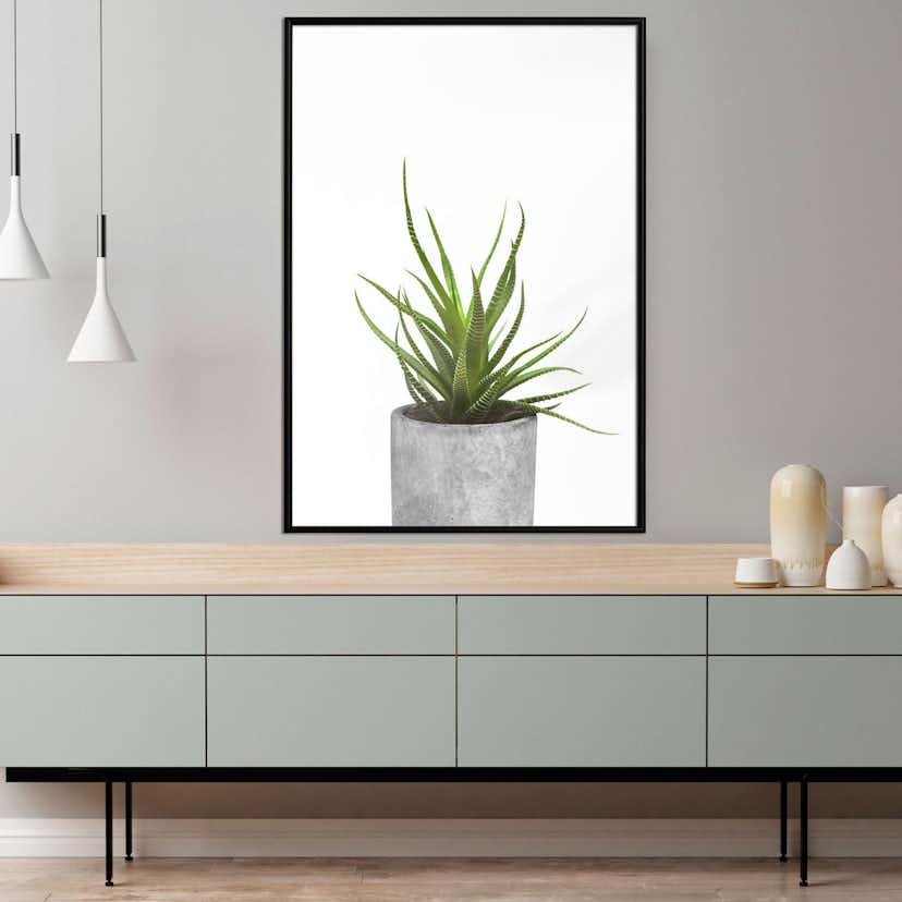 Poster Artgeist Affisch Haworthia