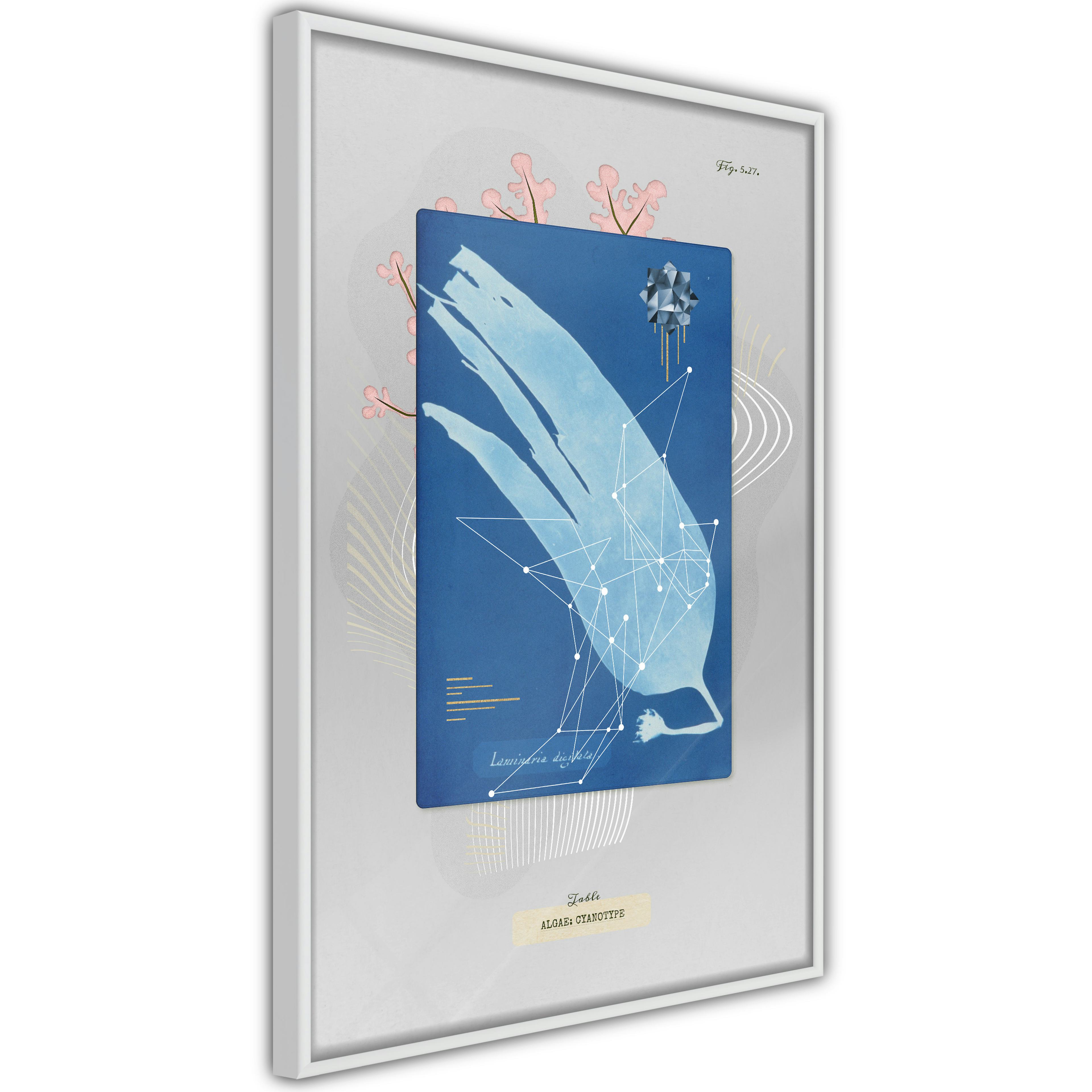 Poster Artgeist Affisch Alga