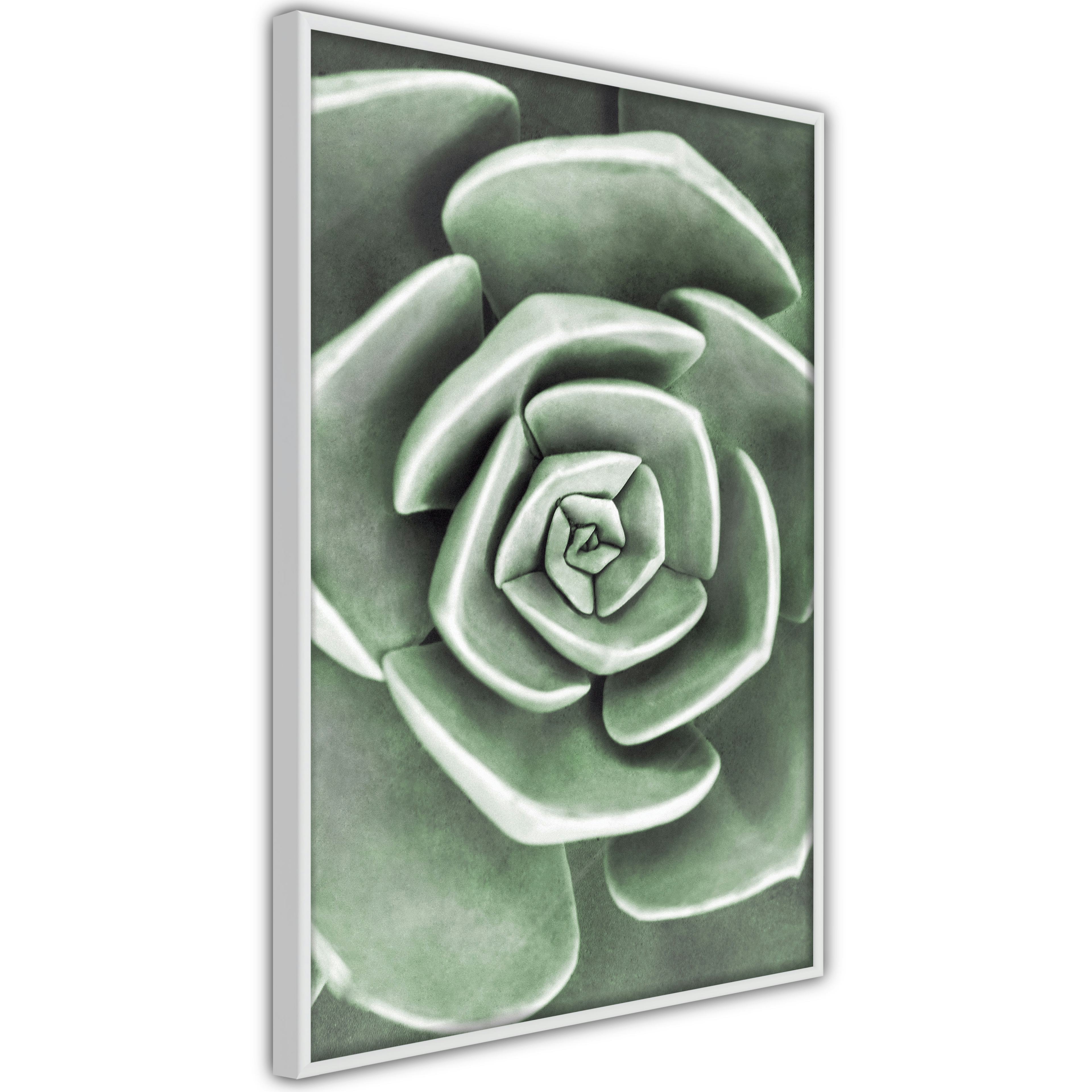 Poster Artgeist Affisch Beautiful Succulent