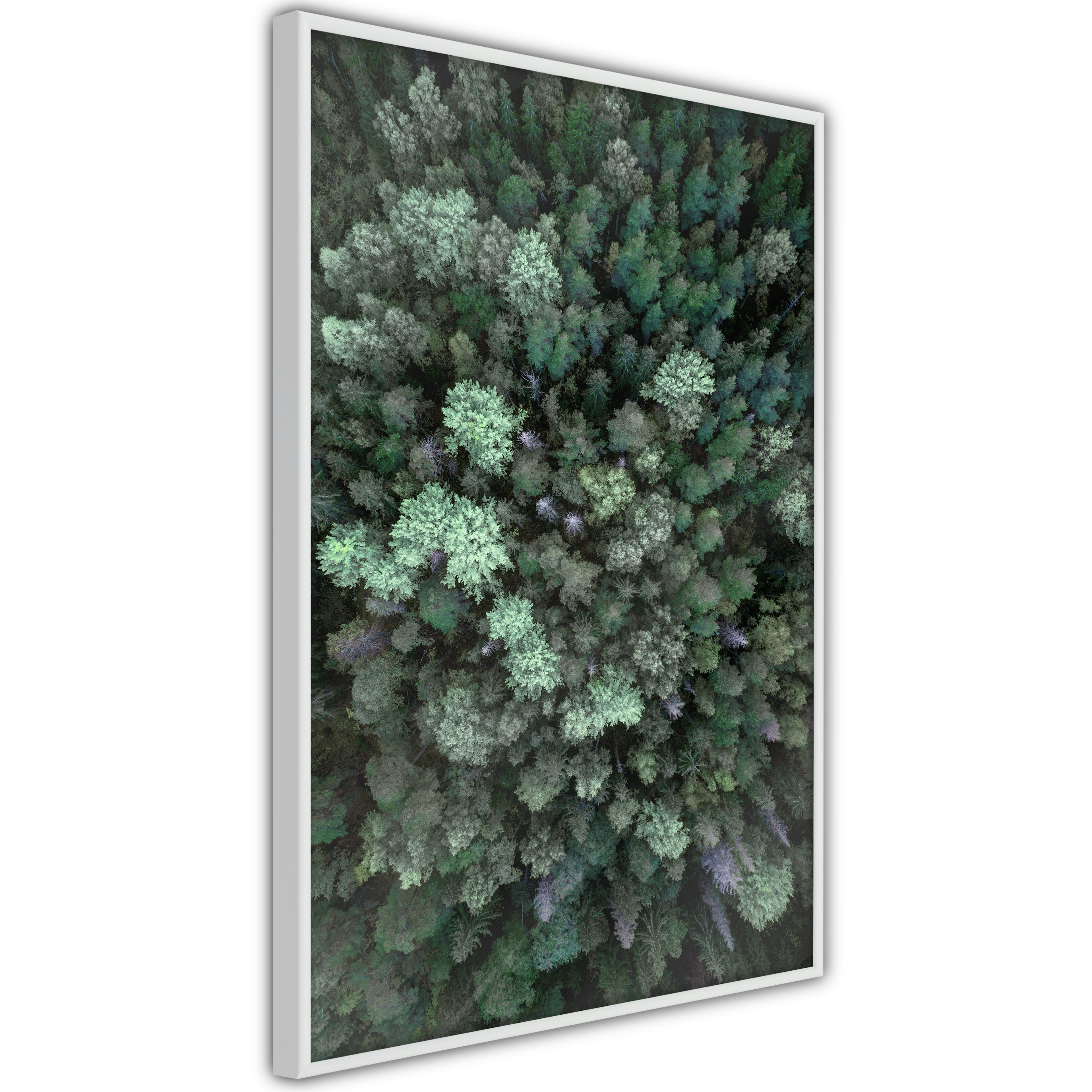 Poster Artgeist Affisch Flying Over Forest