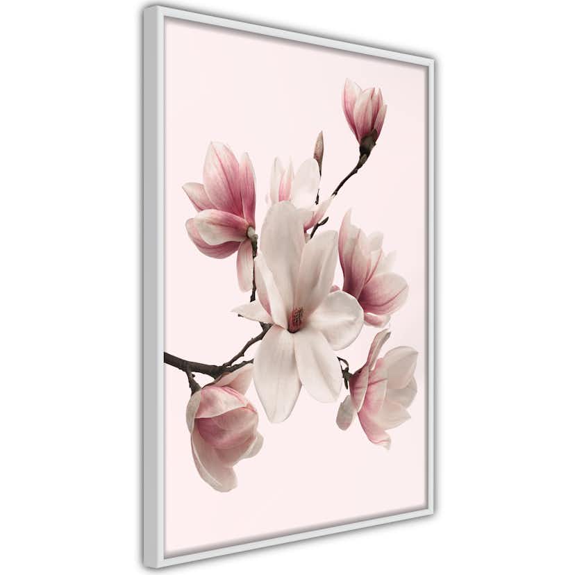 Poster Artgeist Affisch Delicate Magnolias