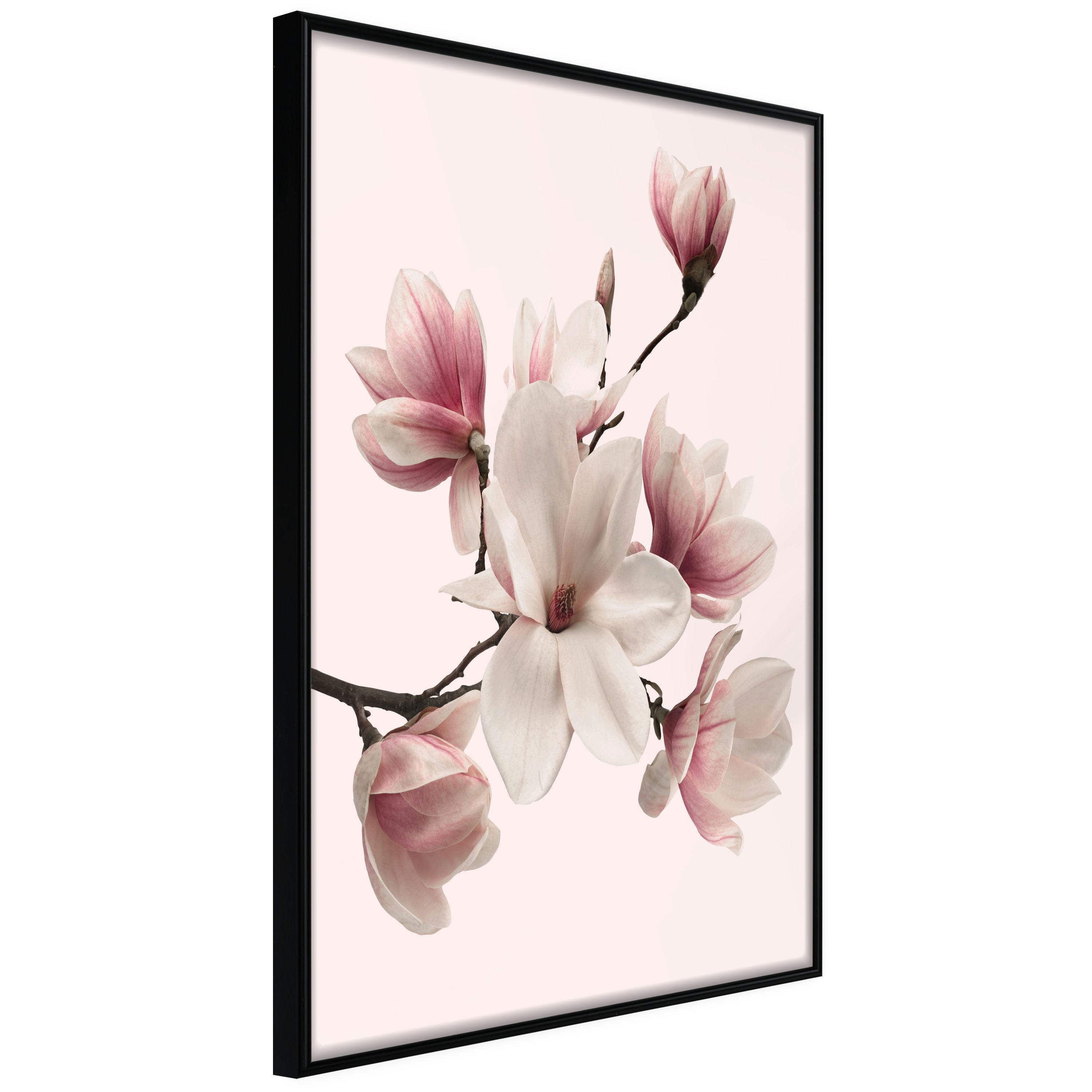 Poster Artgeist Affisch Delicate Magnolias