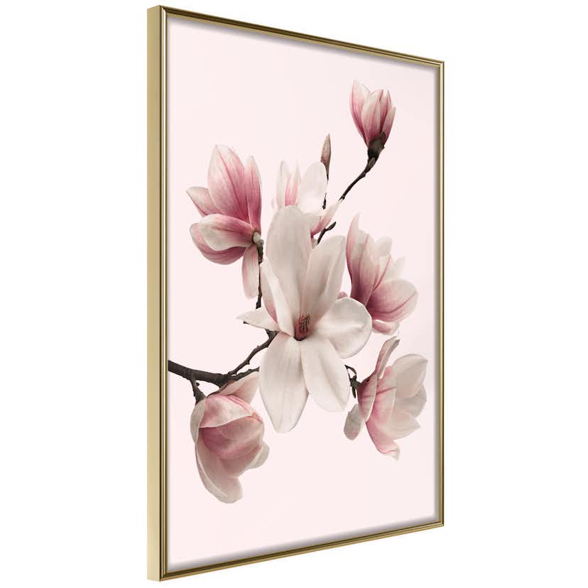 Poster Artgeist Affisch Delicate Magnolias