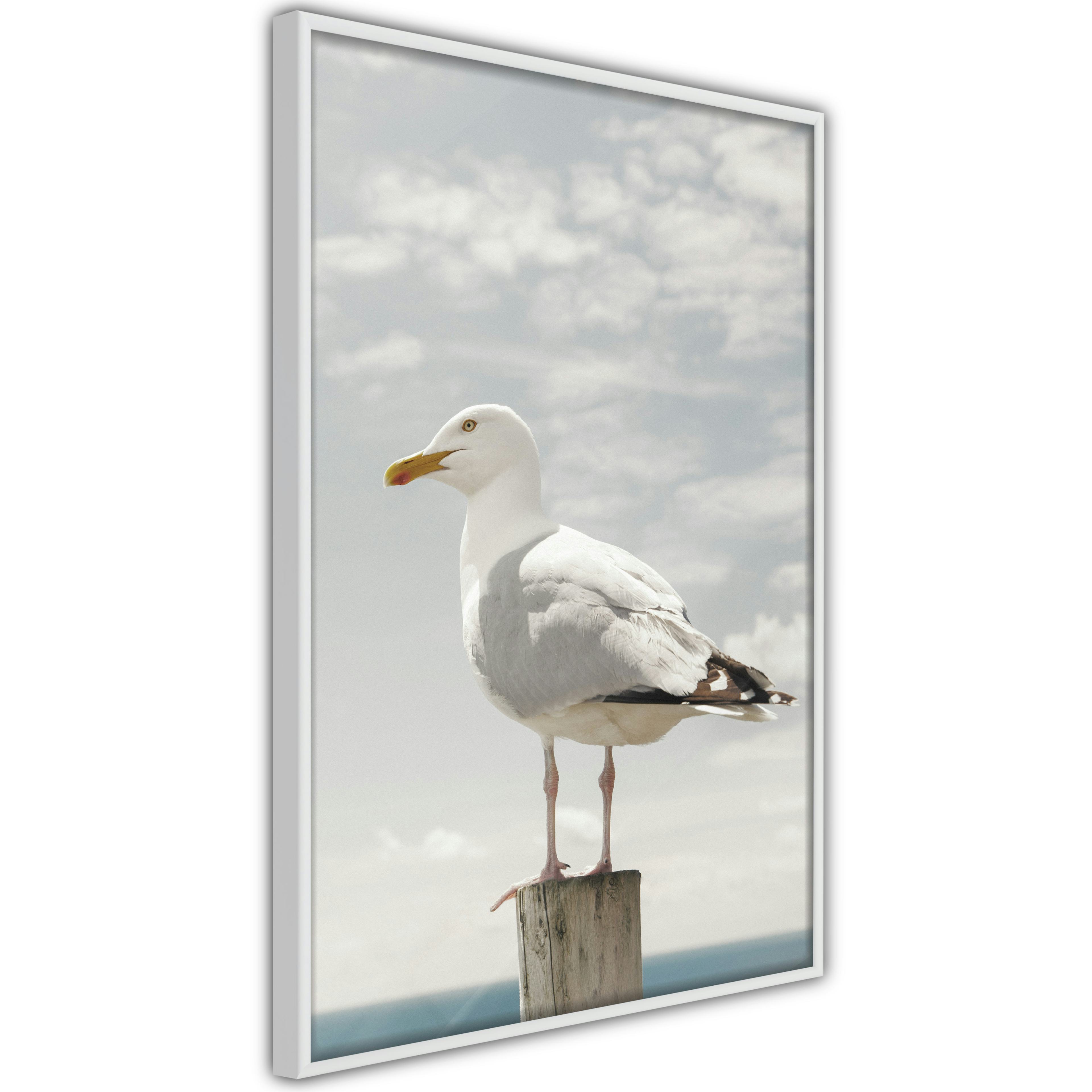 Poster Artgeist Affisch Seagull