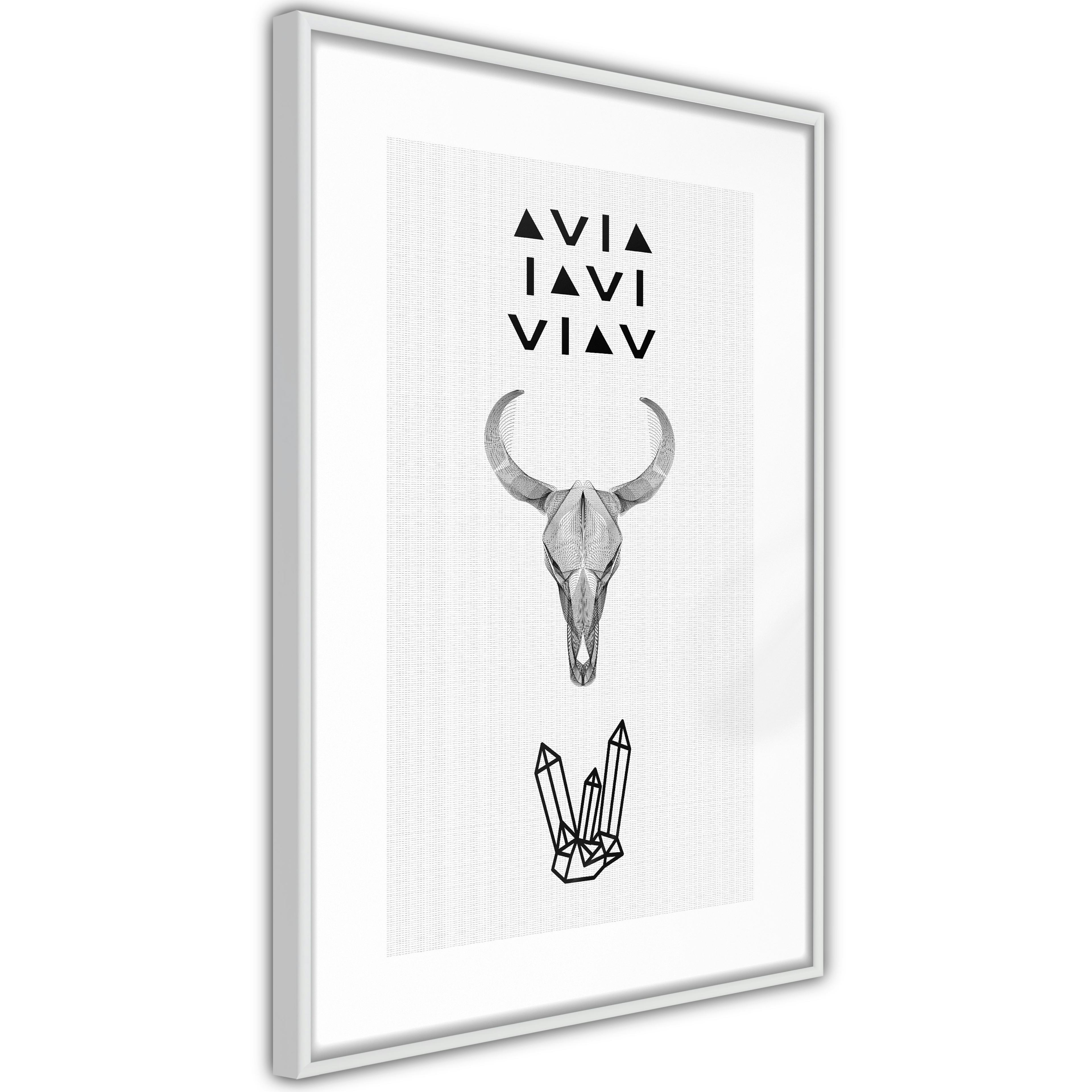Poster Artgeist Affisch Animal Skull