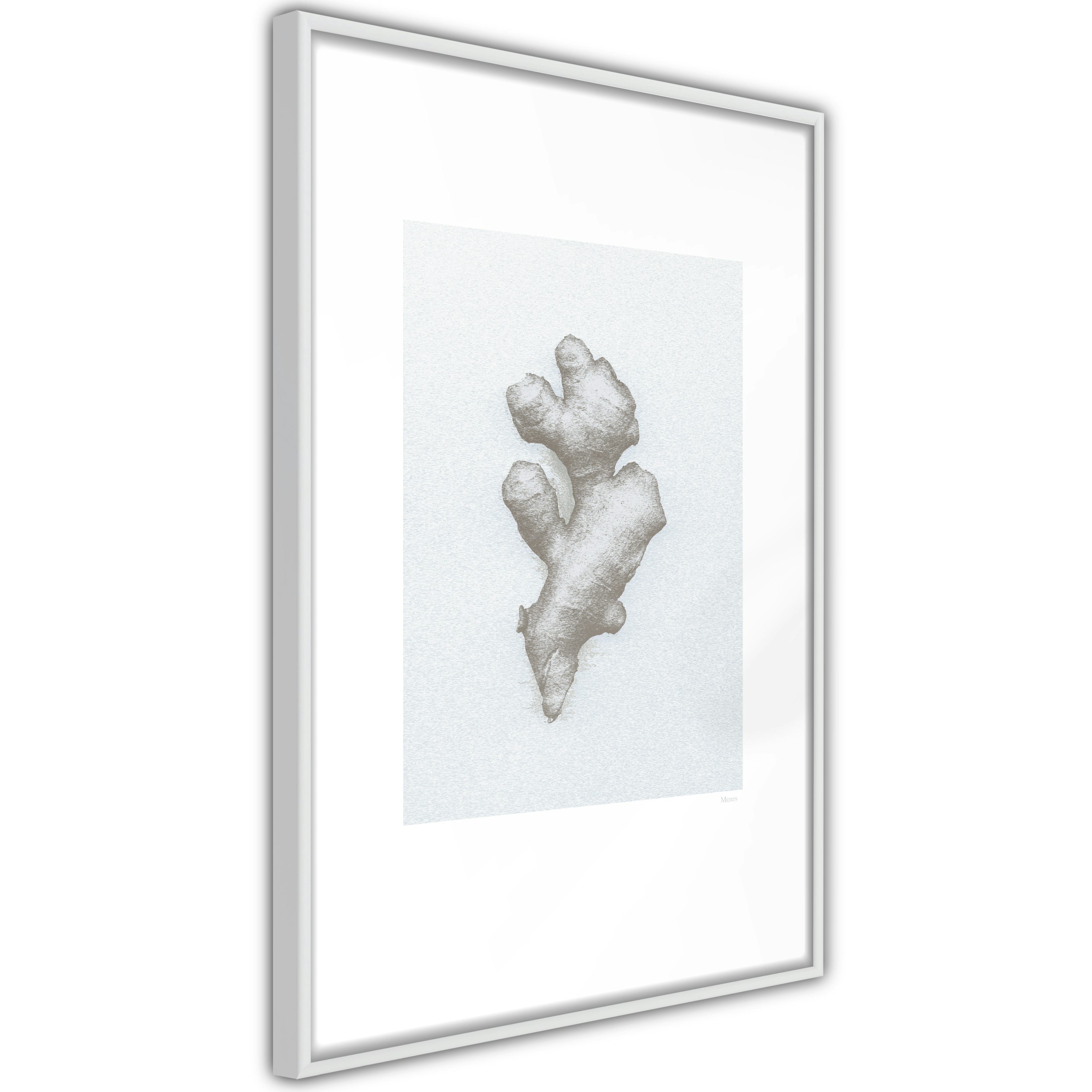 Poster Artgeist Affisch Ginger