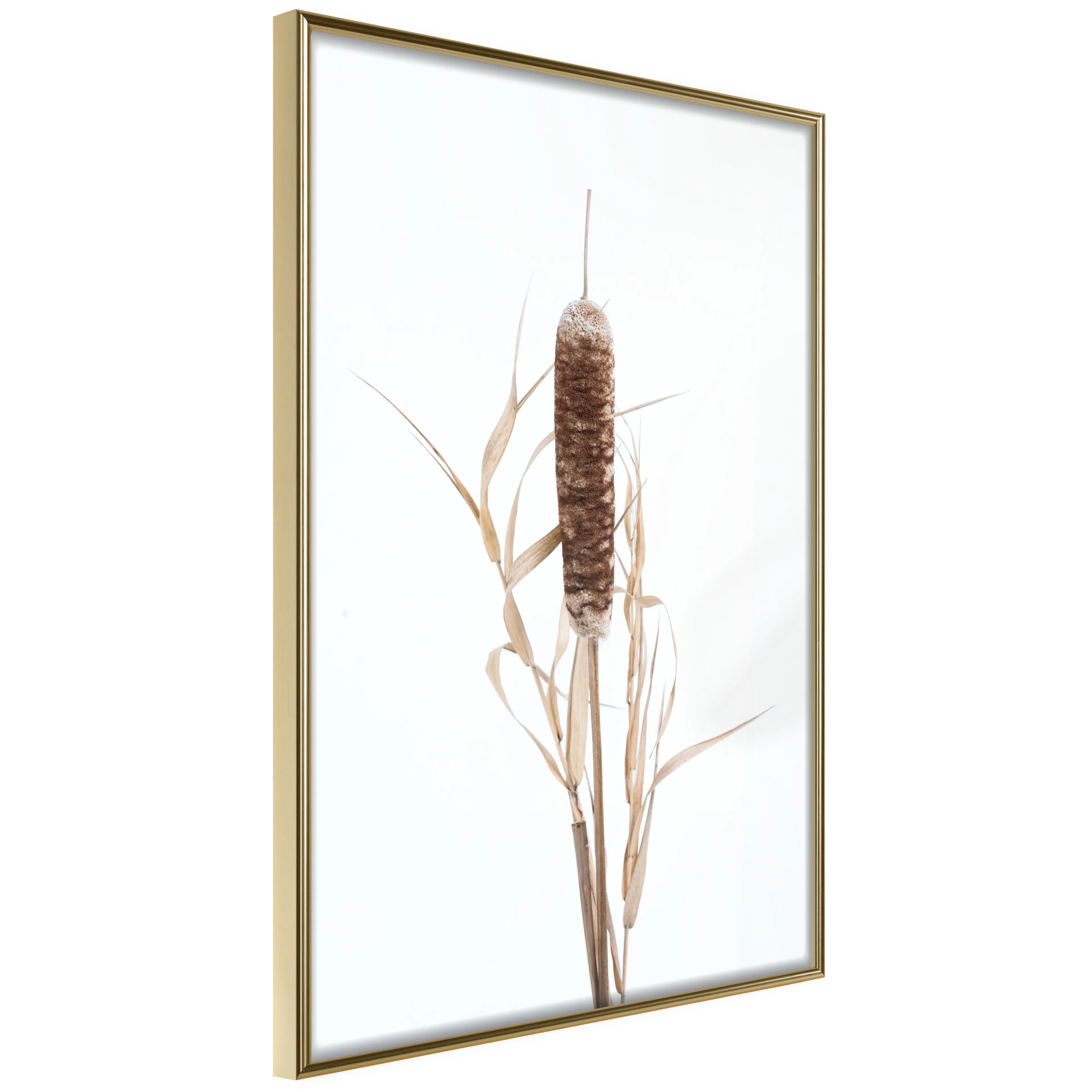 Poster Artgeist Affisch Queen of the Swamps