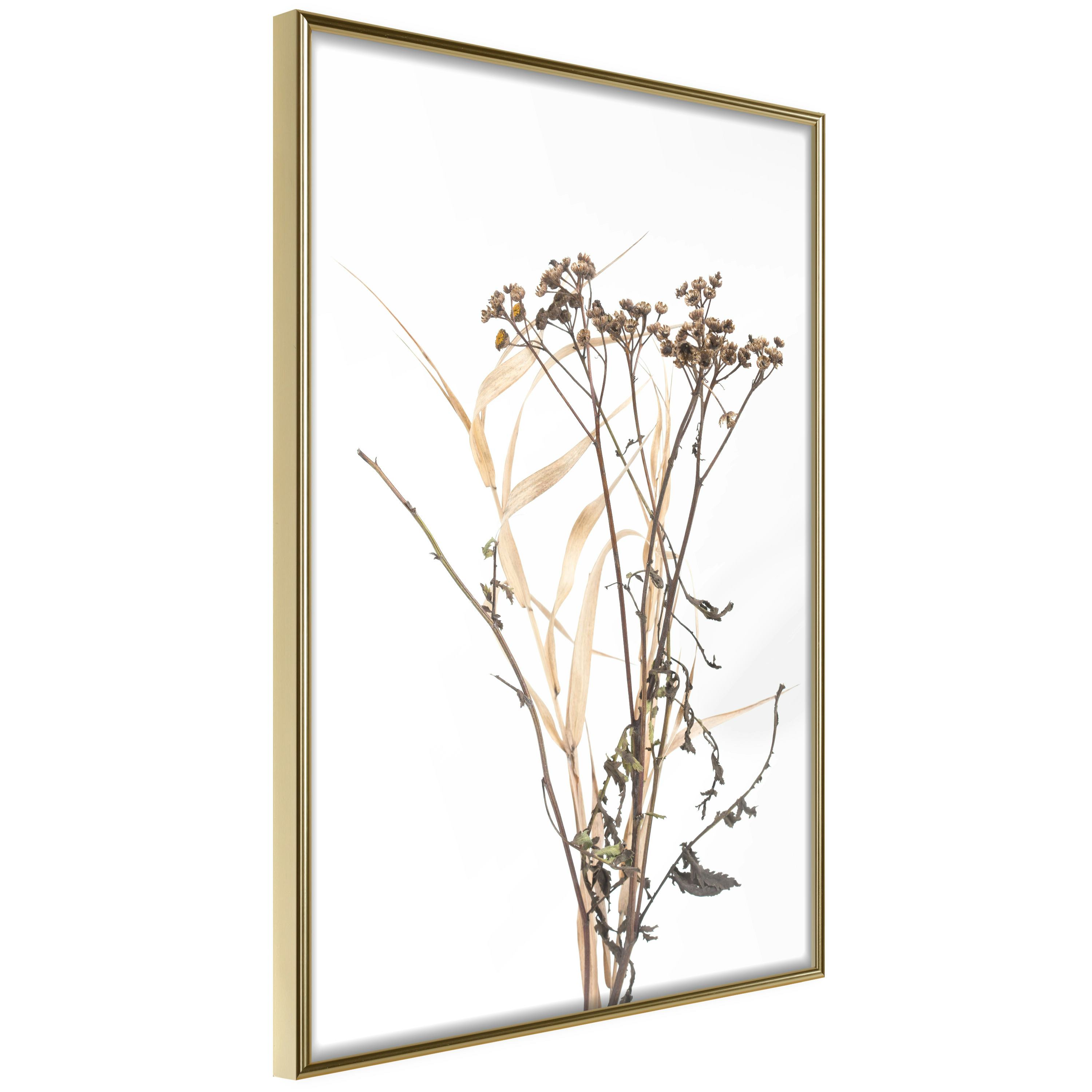Poster Artgeist Affisch Camomile