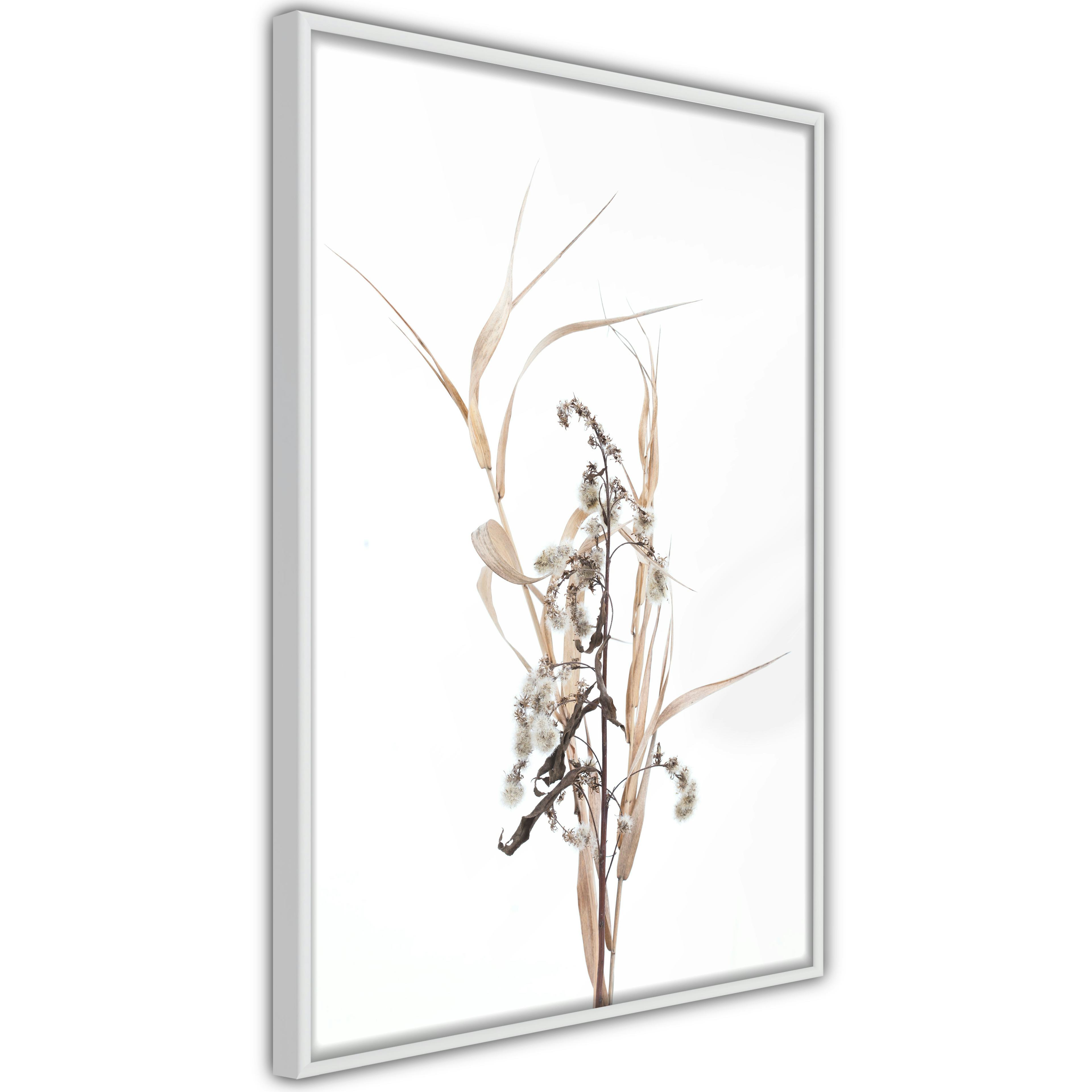 Poster Artgeist Affisch Composition of Herbs