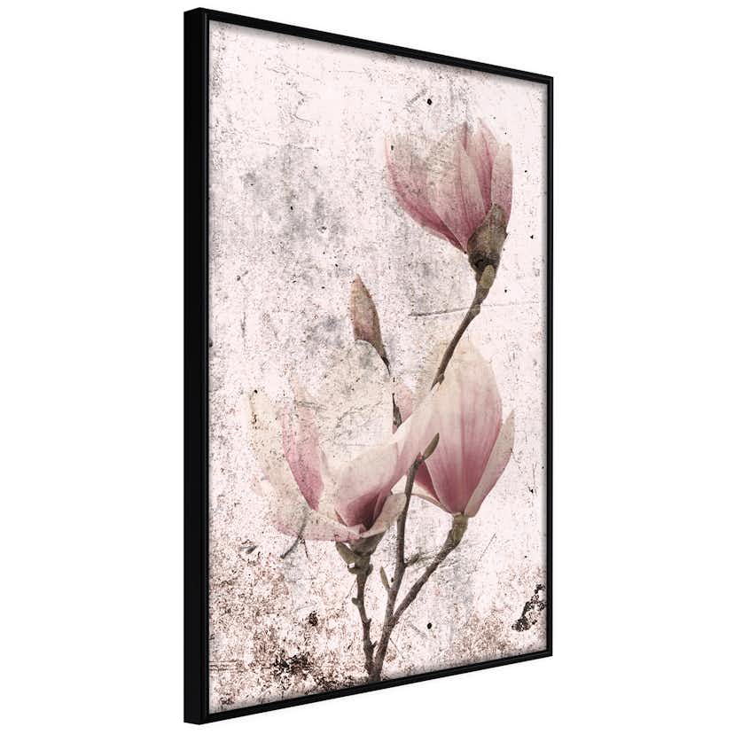 Poster Artgeist Affisch Mature Magnolia