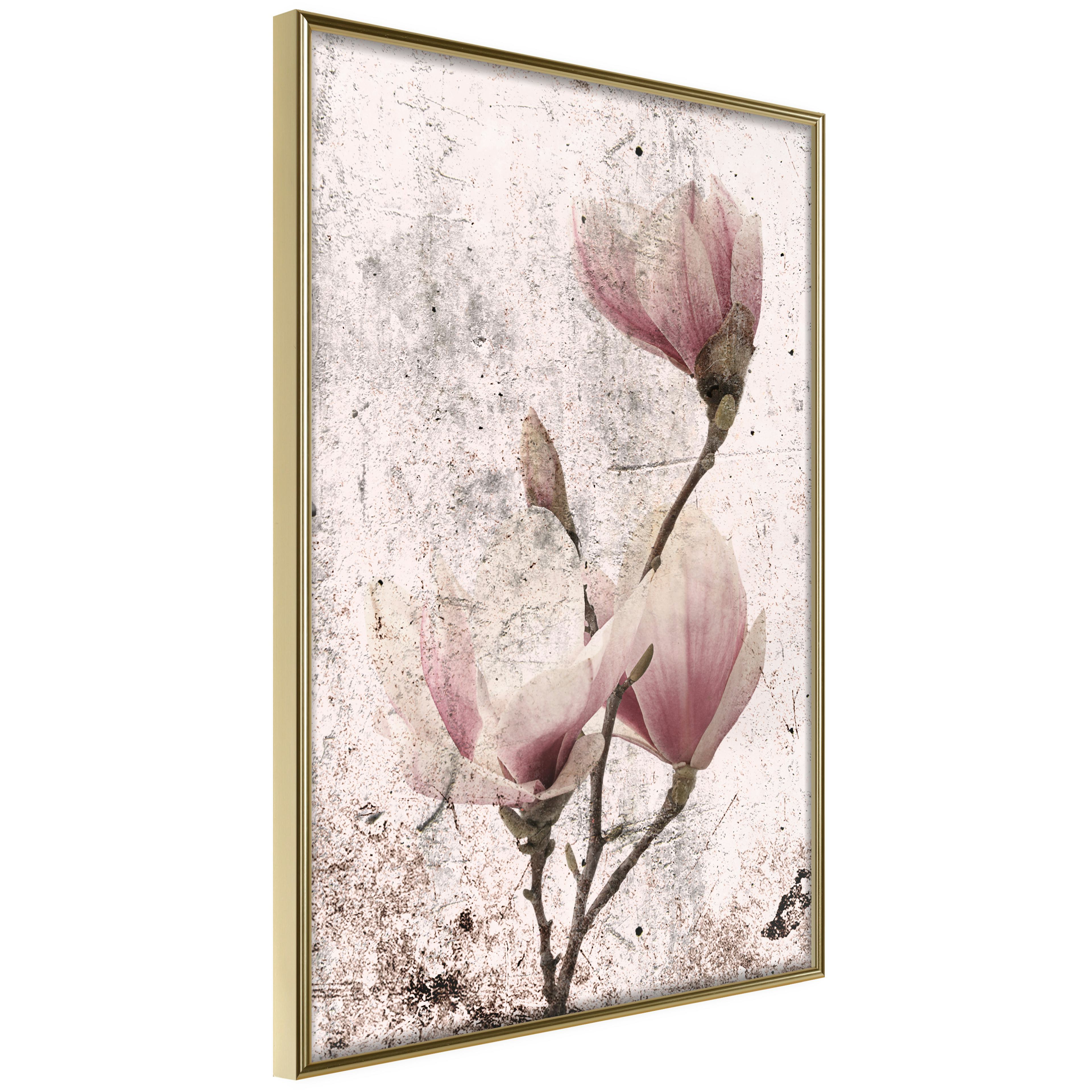 Poster Artgeist Affisch Mature Magnolia