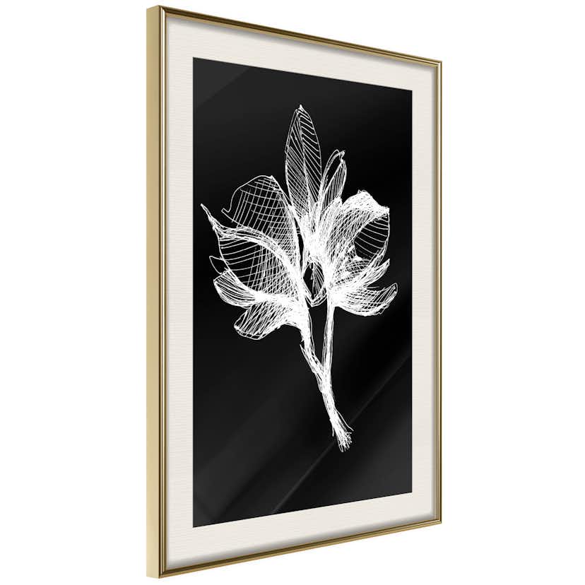 Poster Artgeist Affisch Night Flower