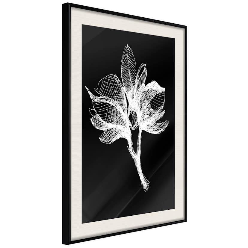 Poster Artgeist Affisch Night Flower