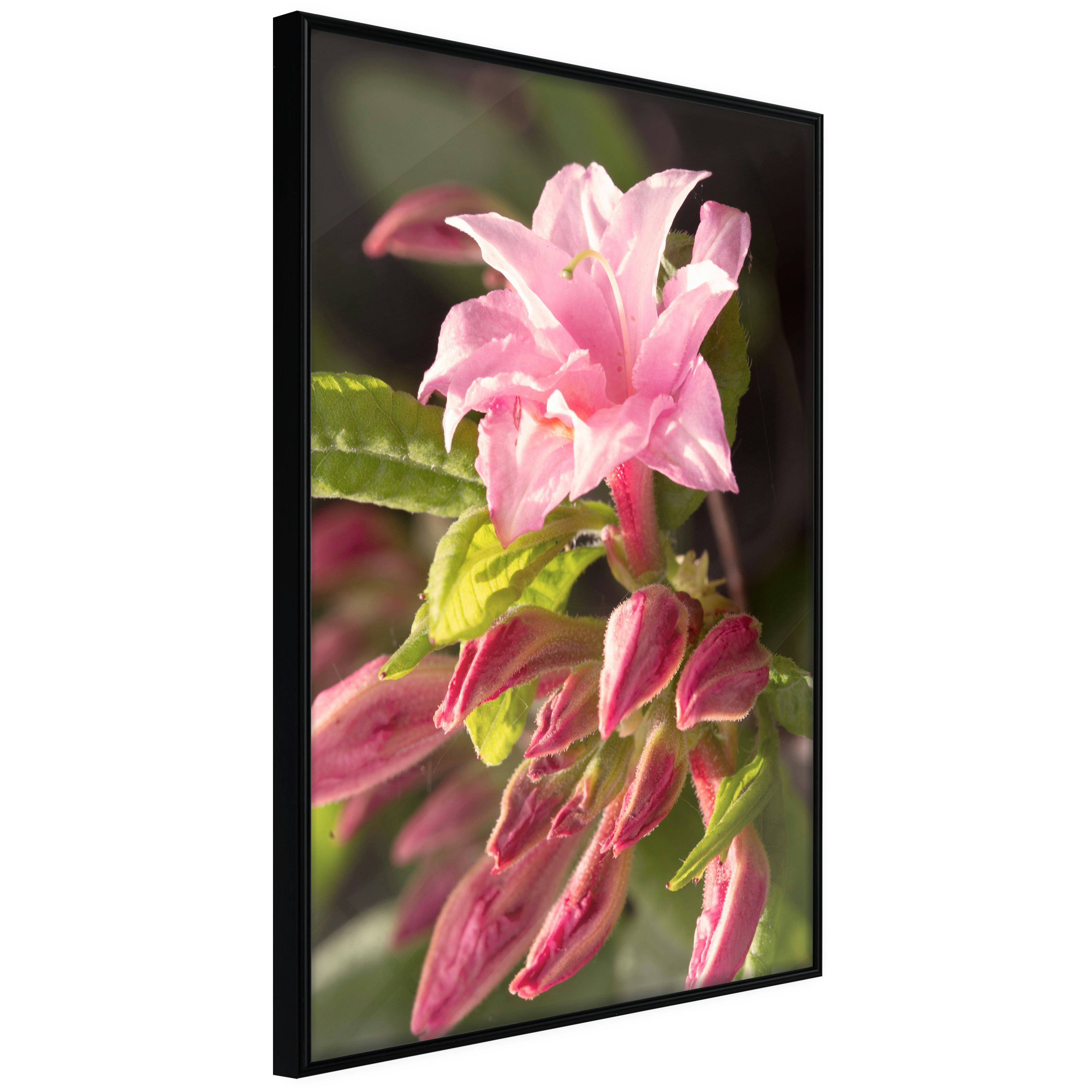 Poster Artgeist Affisch Natural Pink