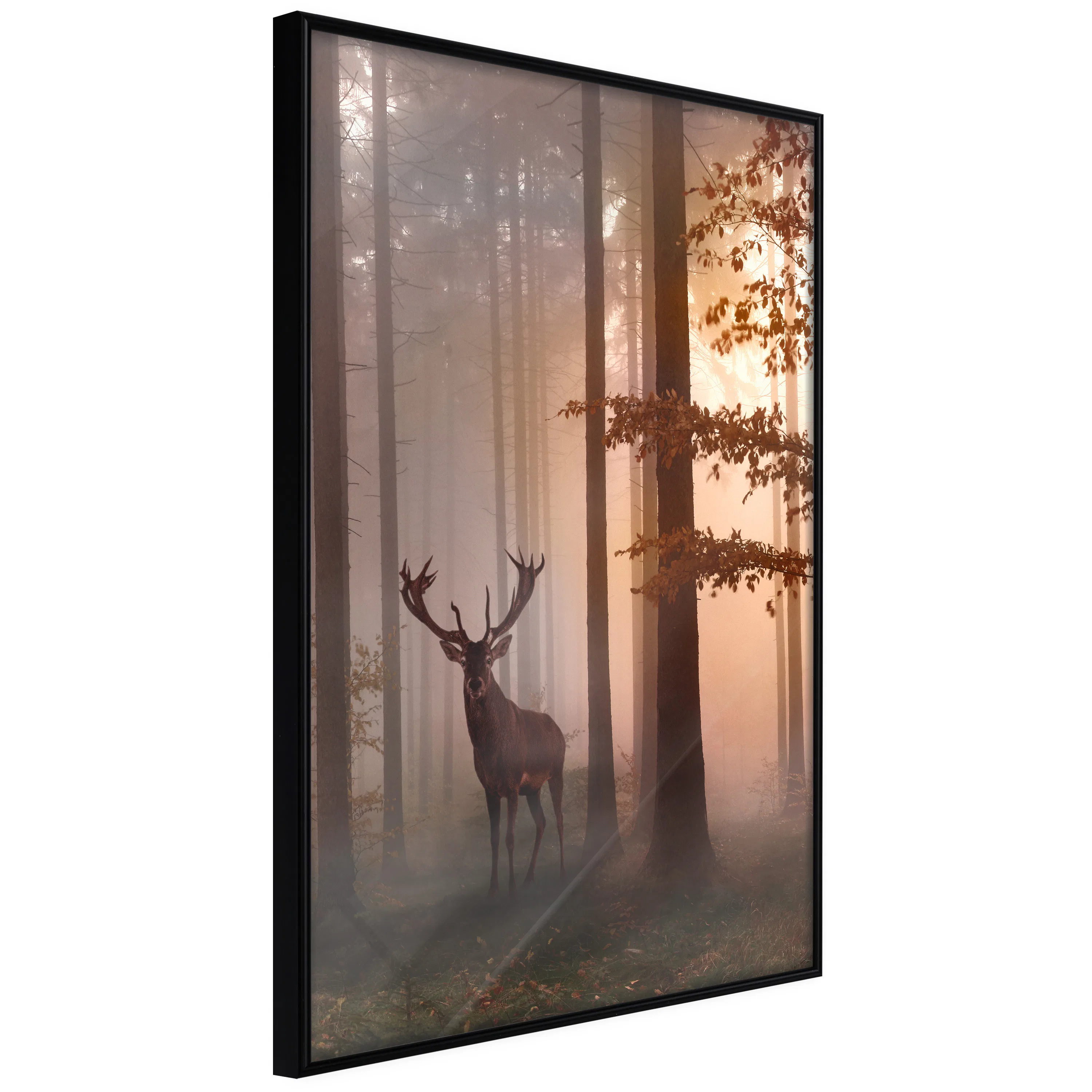 Poster Artgeist Affisch Morning