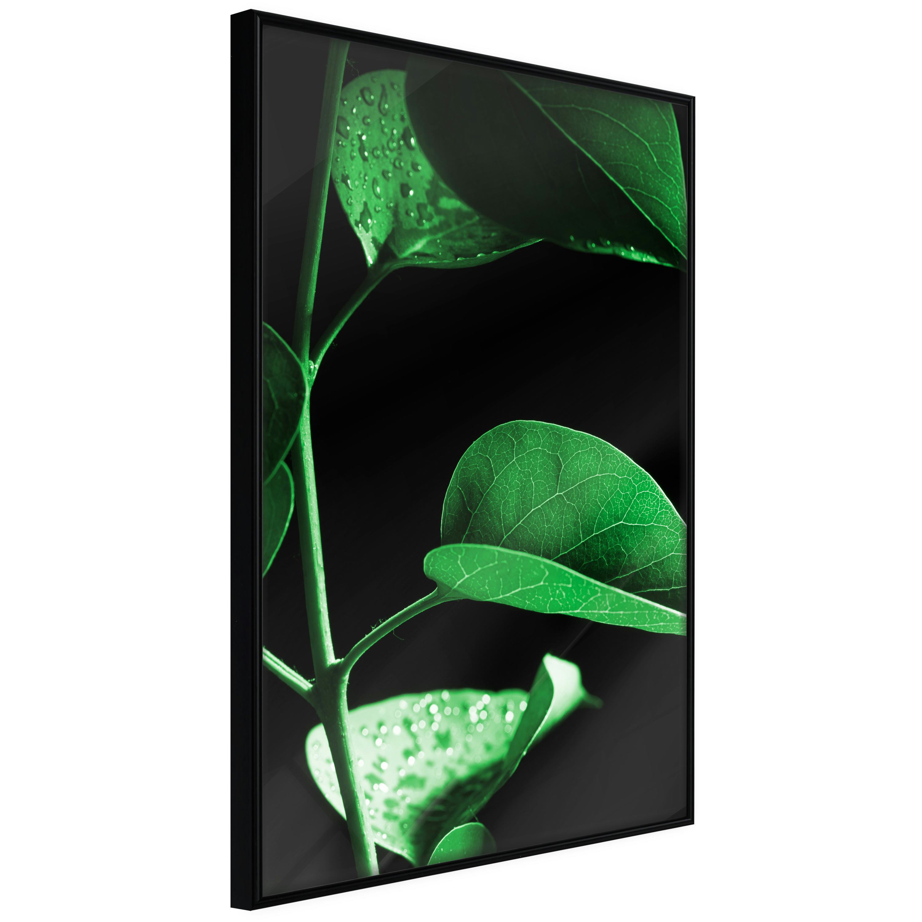 Poster Artgeist Affisch Plant in Black