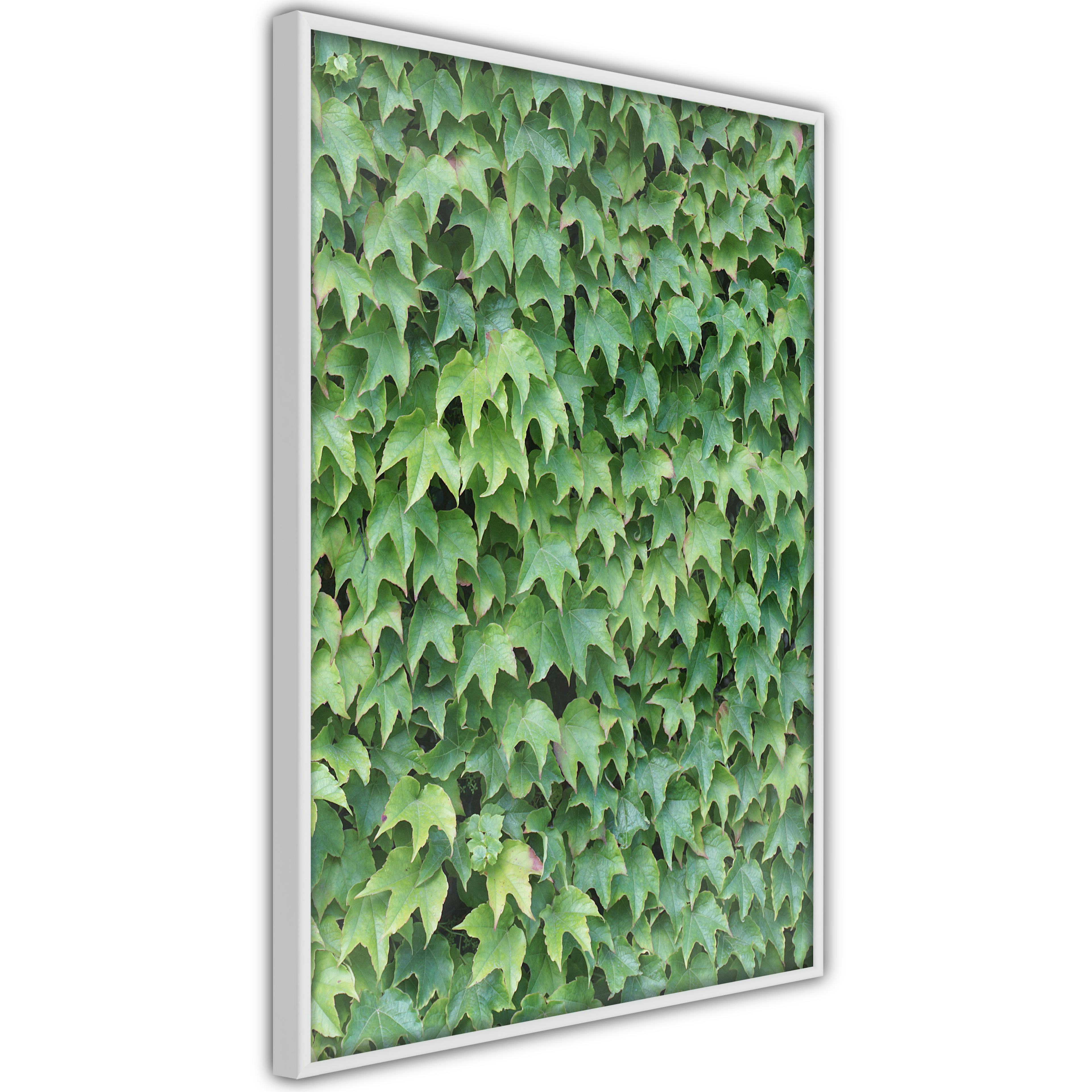 Poster Artgeist Affisch Thick Ivy