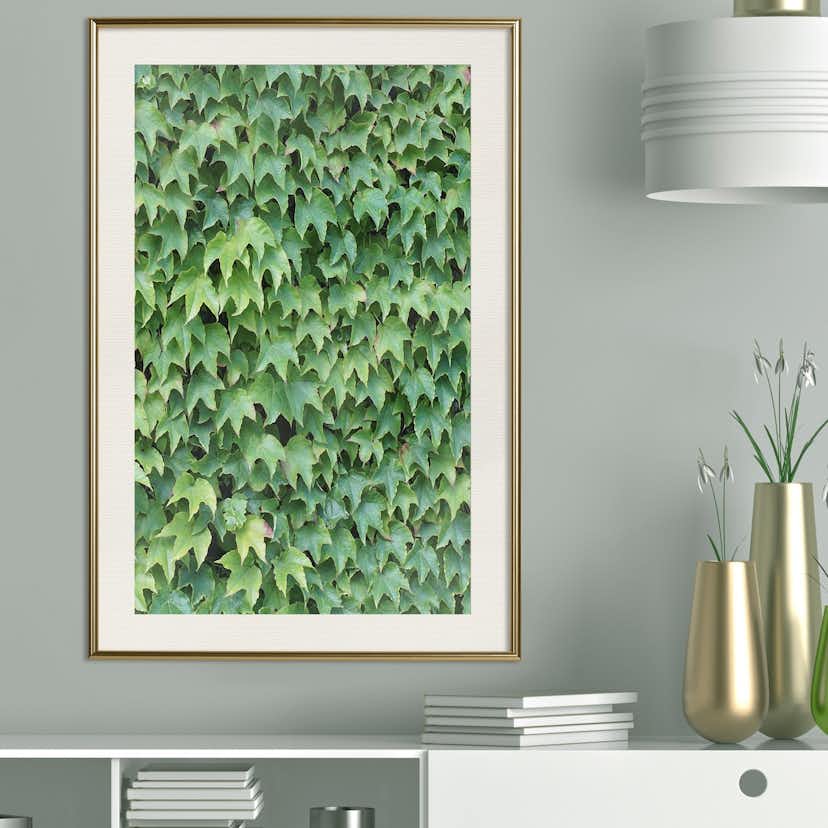 Poster Artgeist Affisch Thick Ivy