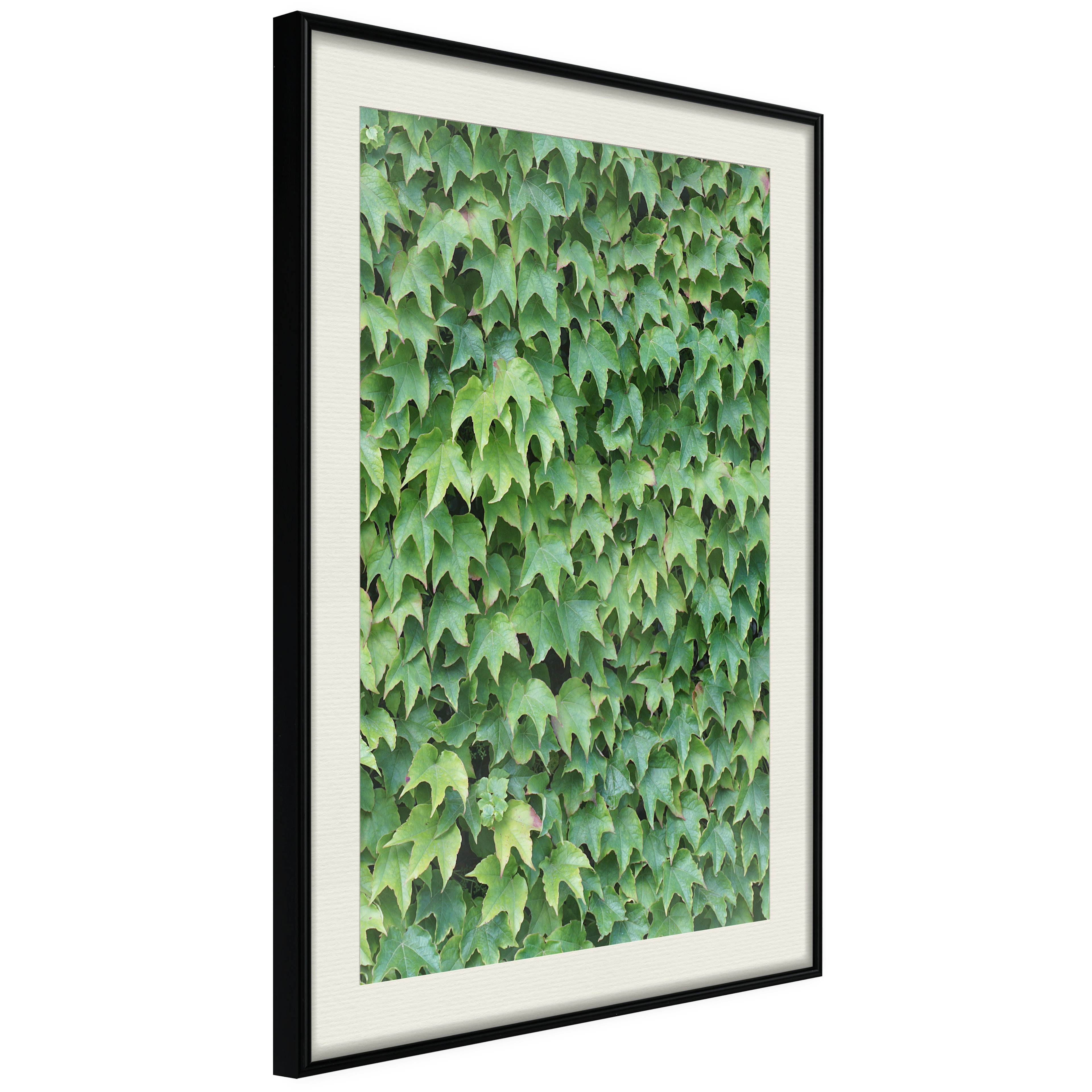 Poster Artgeist Affisch Thick Ivy
