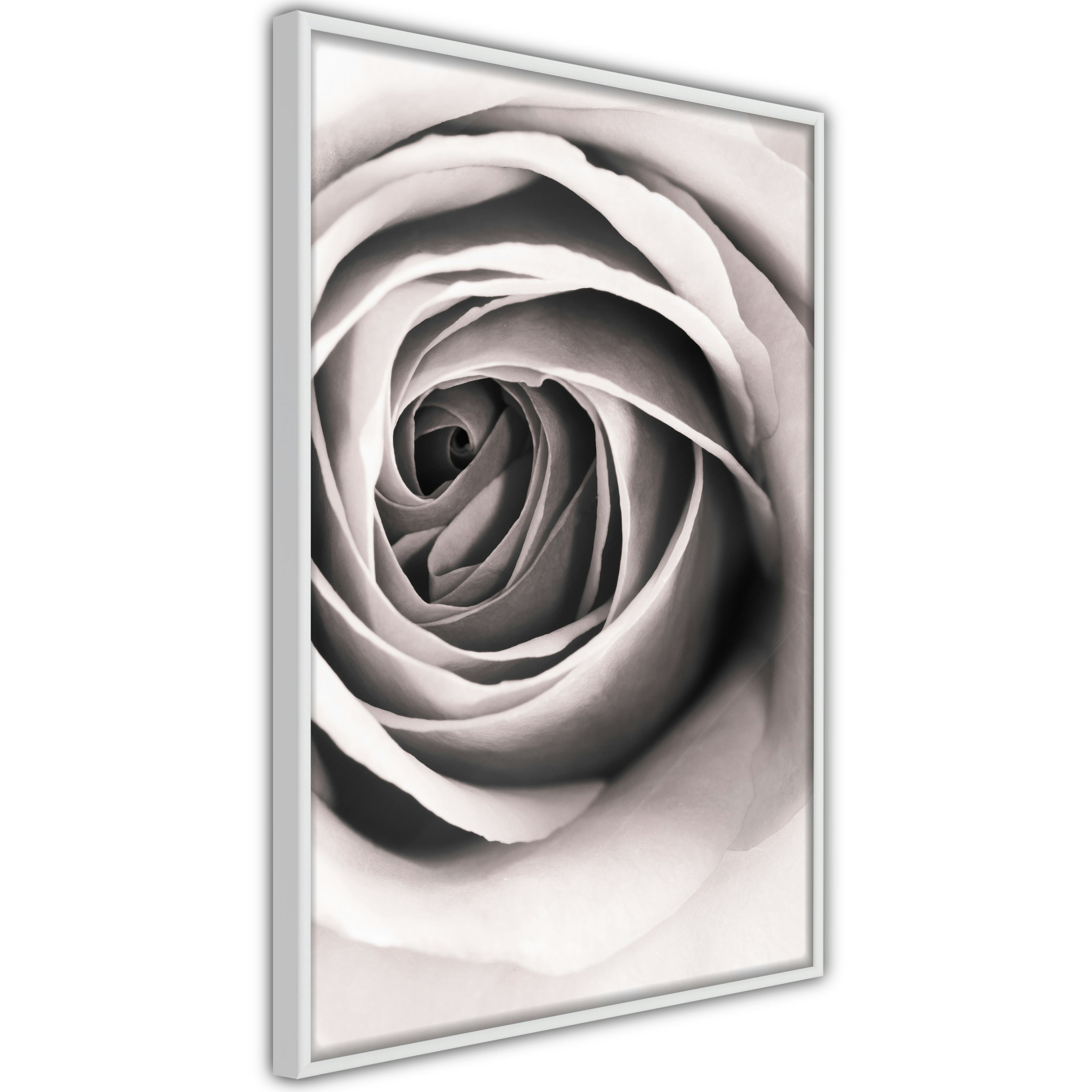 Poster Artgeist Affisch Rose Vortex