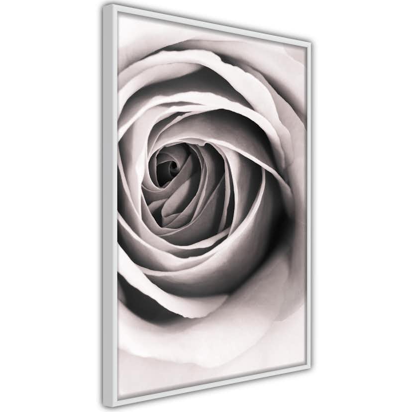 Poster Artgeist Affisch Rose Vortex